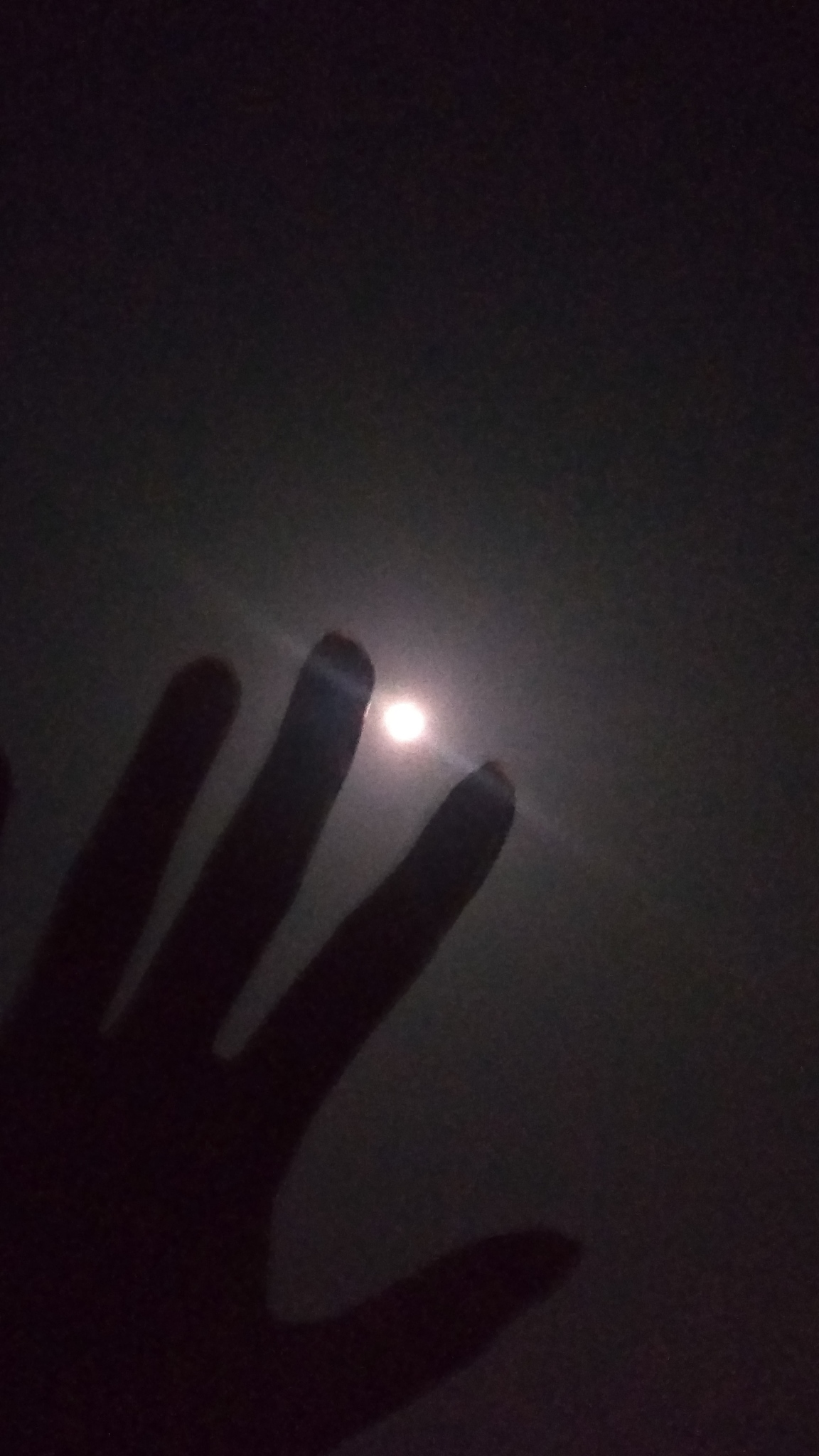 月亮：一个少年的冒险启示