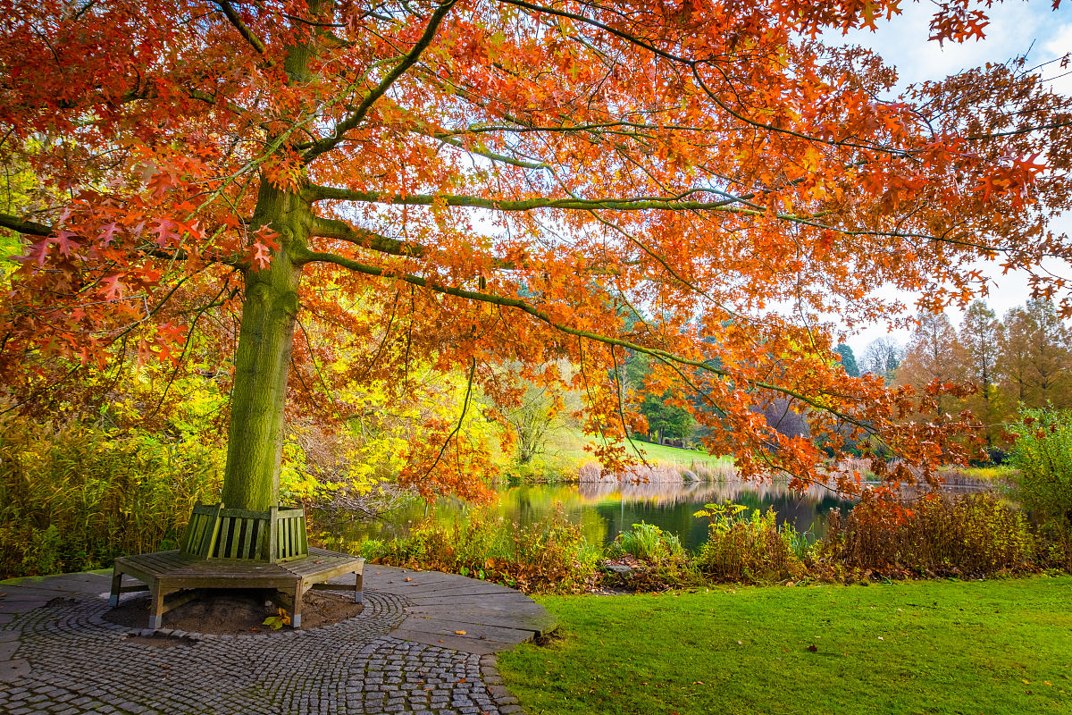 秋天的美景：从落叶到收获的美丽与舒适