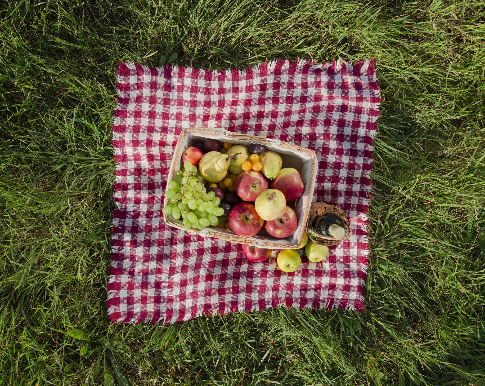 春日出游必备！时尚牛津布防水防潮加厚野餐垫