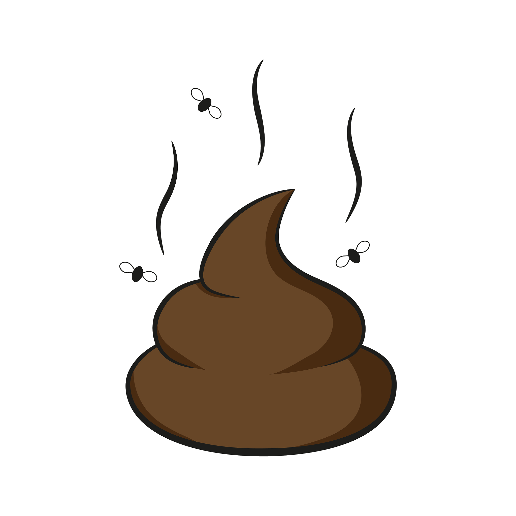 brown poop with fly
