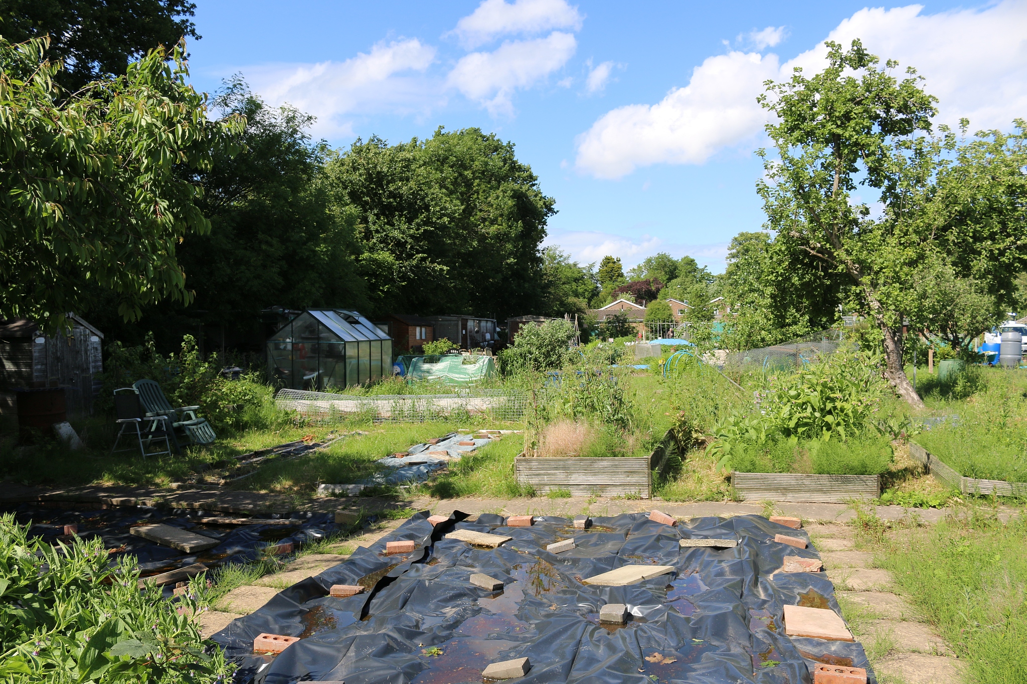 此游戏的场景以乡村风格来进行设计需要融合乡村风情元素体现自然、健康、有机的特性整体色调呈淡雅优美的田园风情。