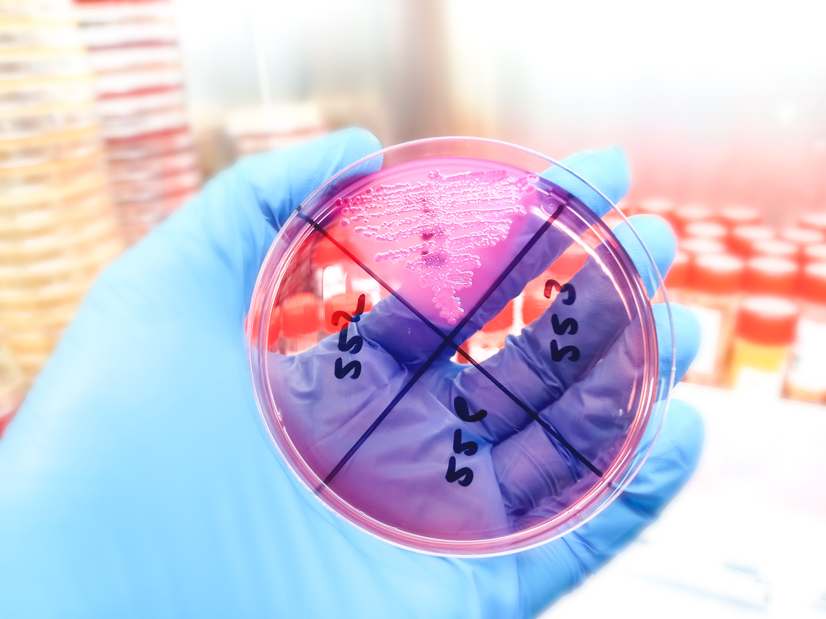 FOOD MICROBIOLOGY期刊的介绍？