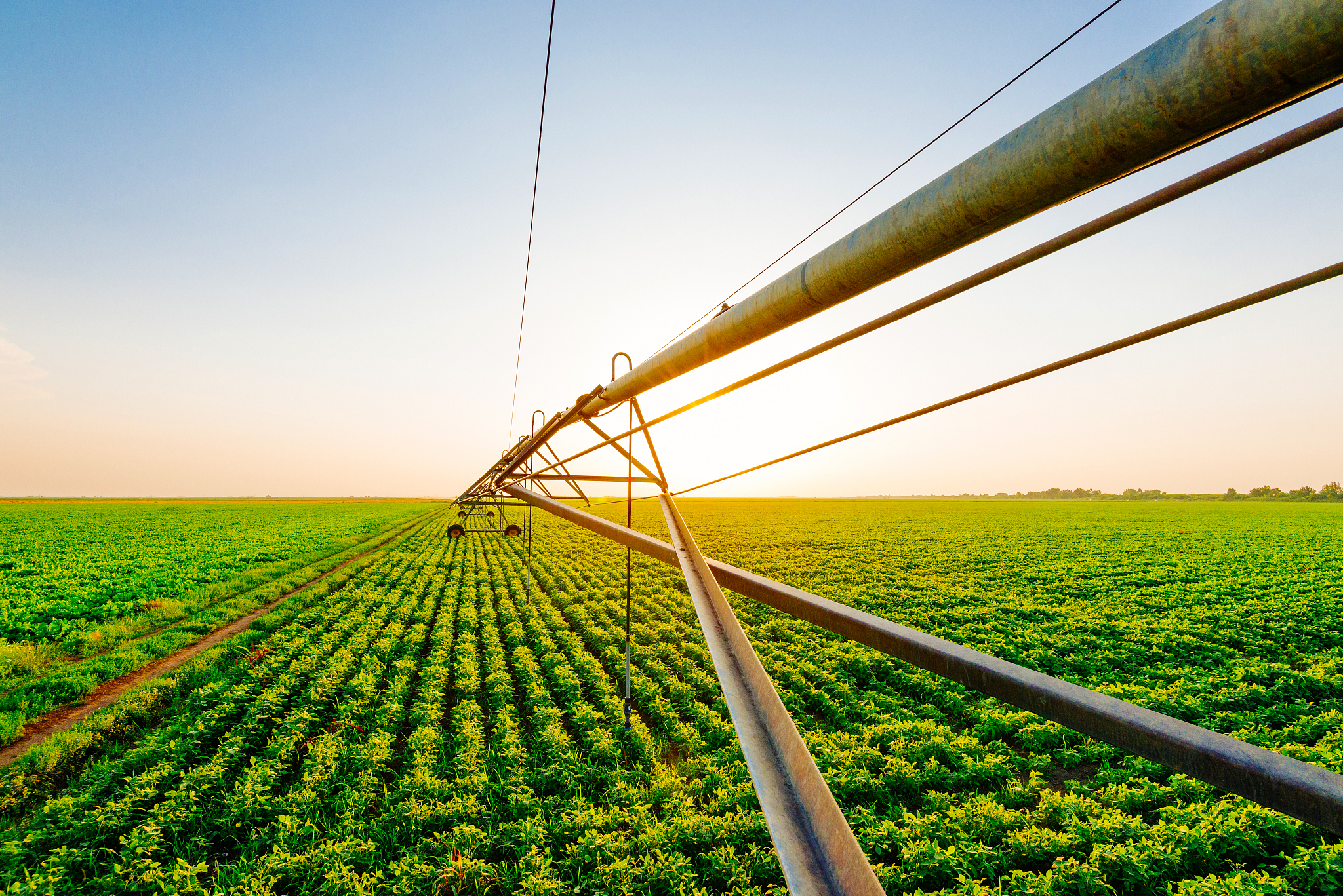 曲靖农业学校2019年五年制高职专科联系方式