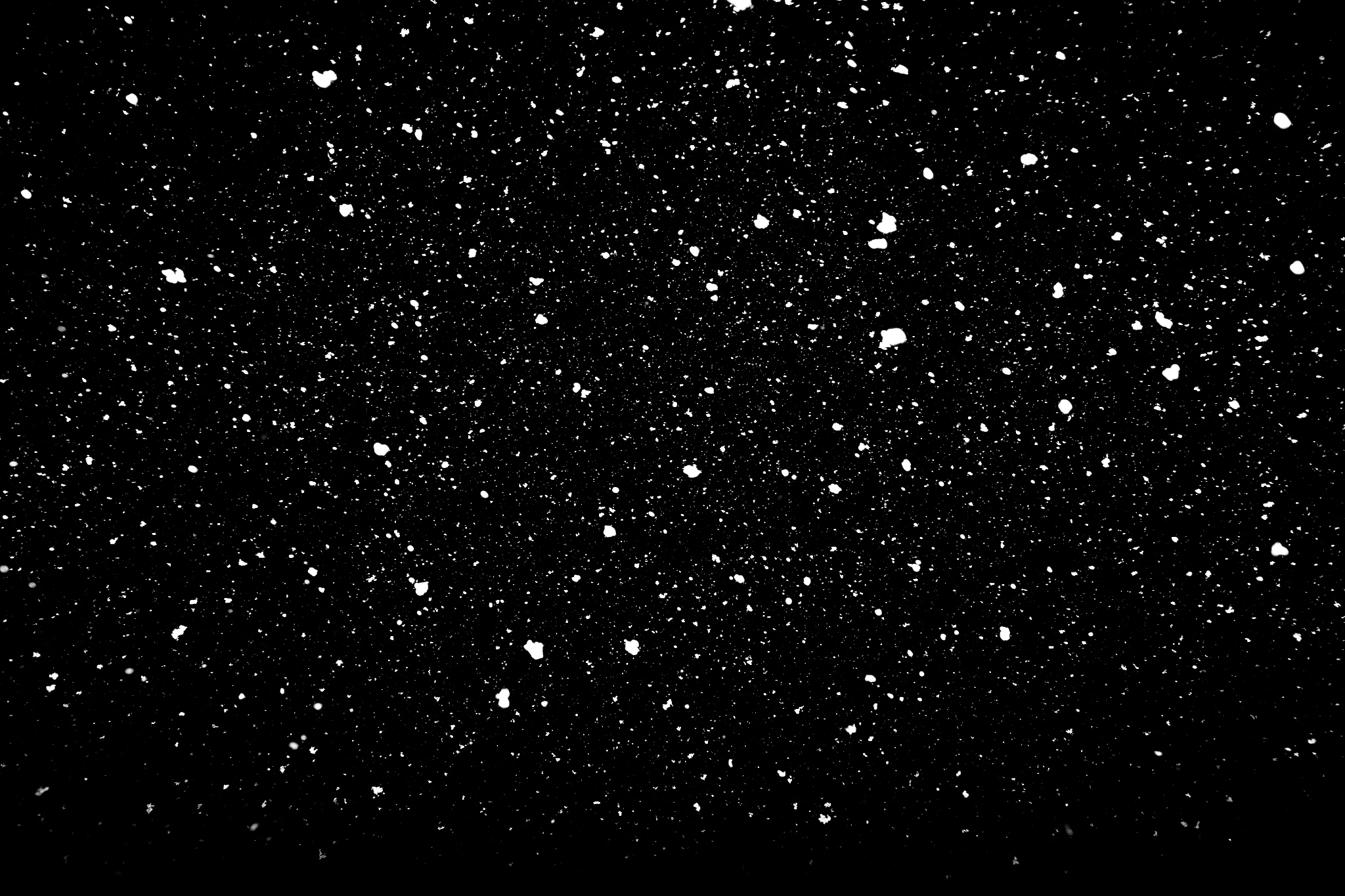falling snow isolated on black background