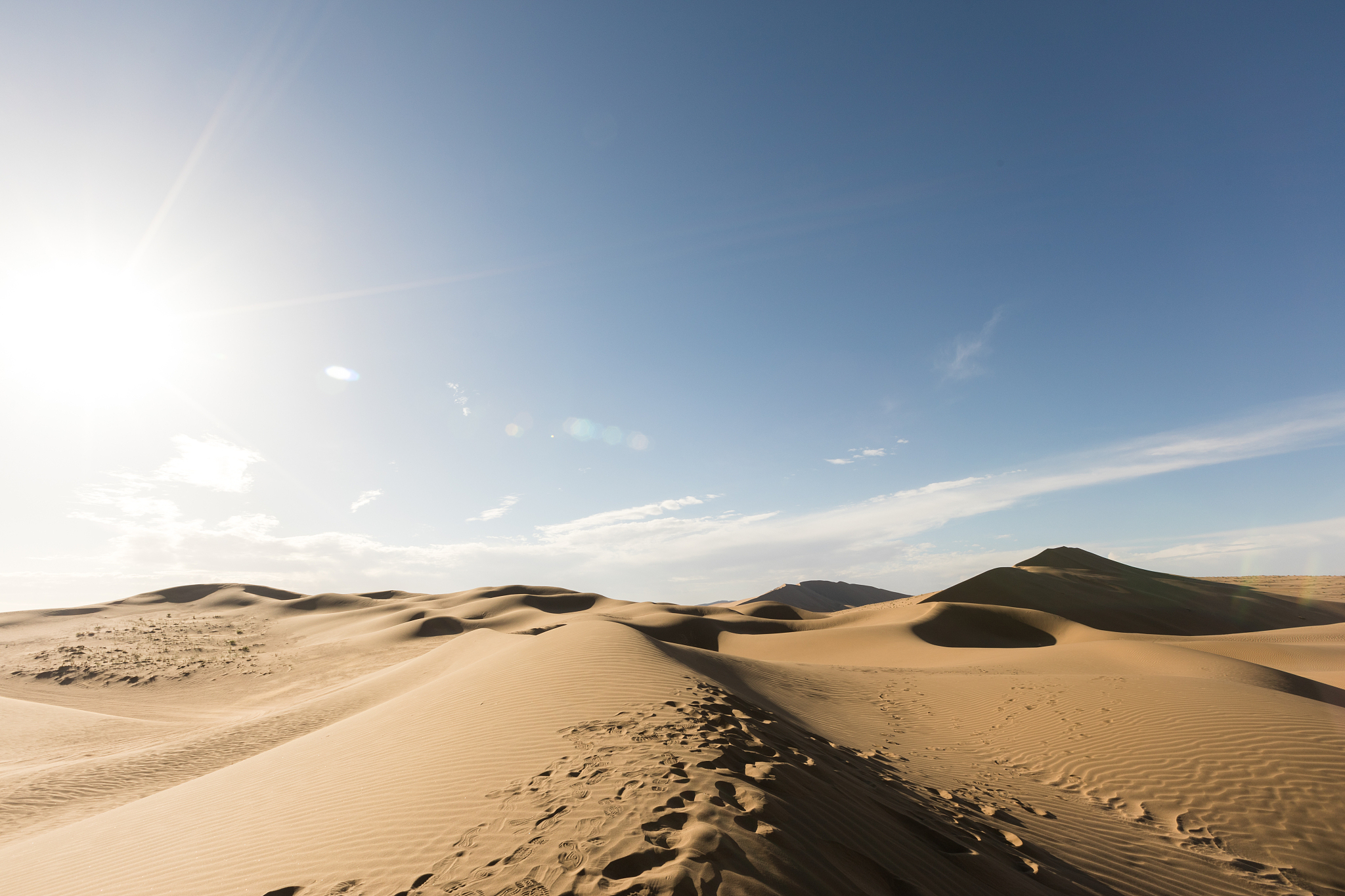 白山职业技术学校专业介绍 - 培养实用人才，满足市场需求