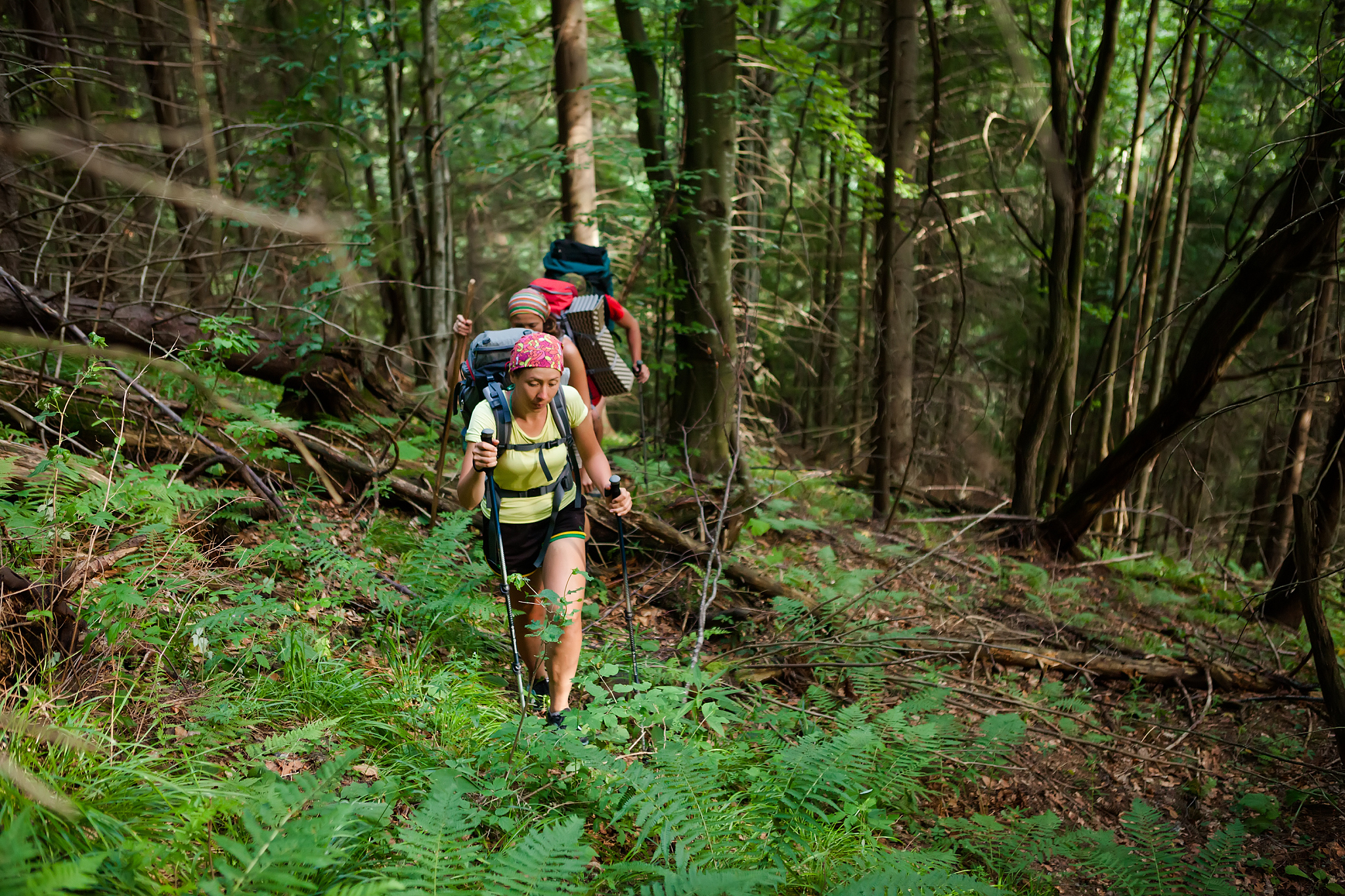 探索未知之旅——我与大自然的邂逅
