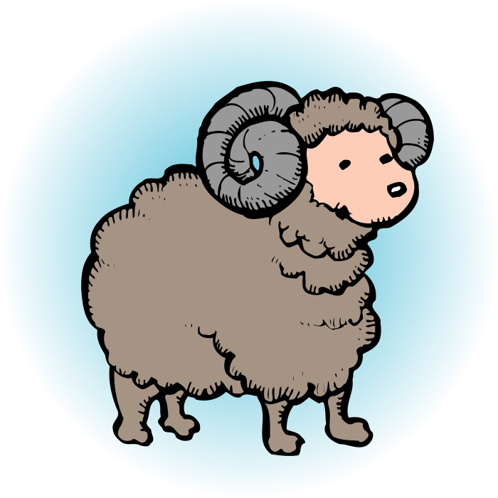 属羊的是哪一年出生的 羊年都是哪年出生的人