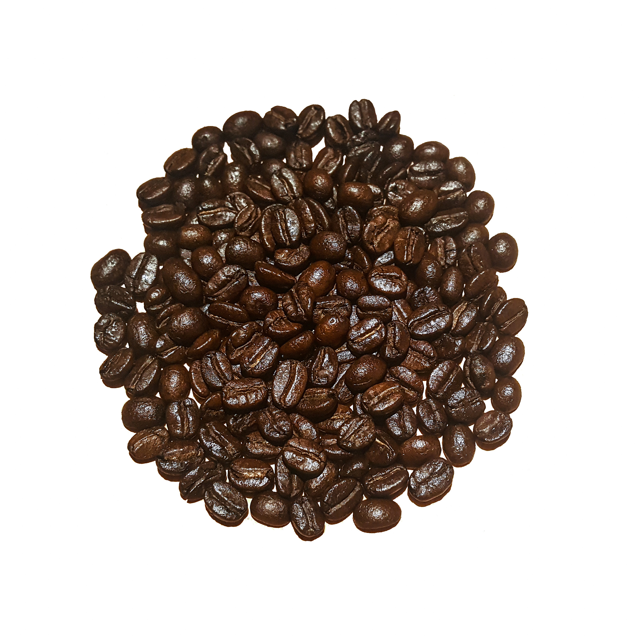 Cargo Hold Inspection Reveals Black/Brown Materials - Potential Bean Pods, Heat Damage, or Foreign Matter