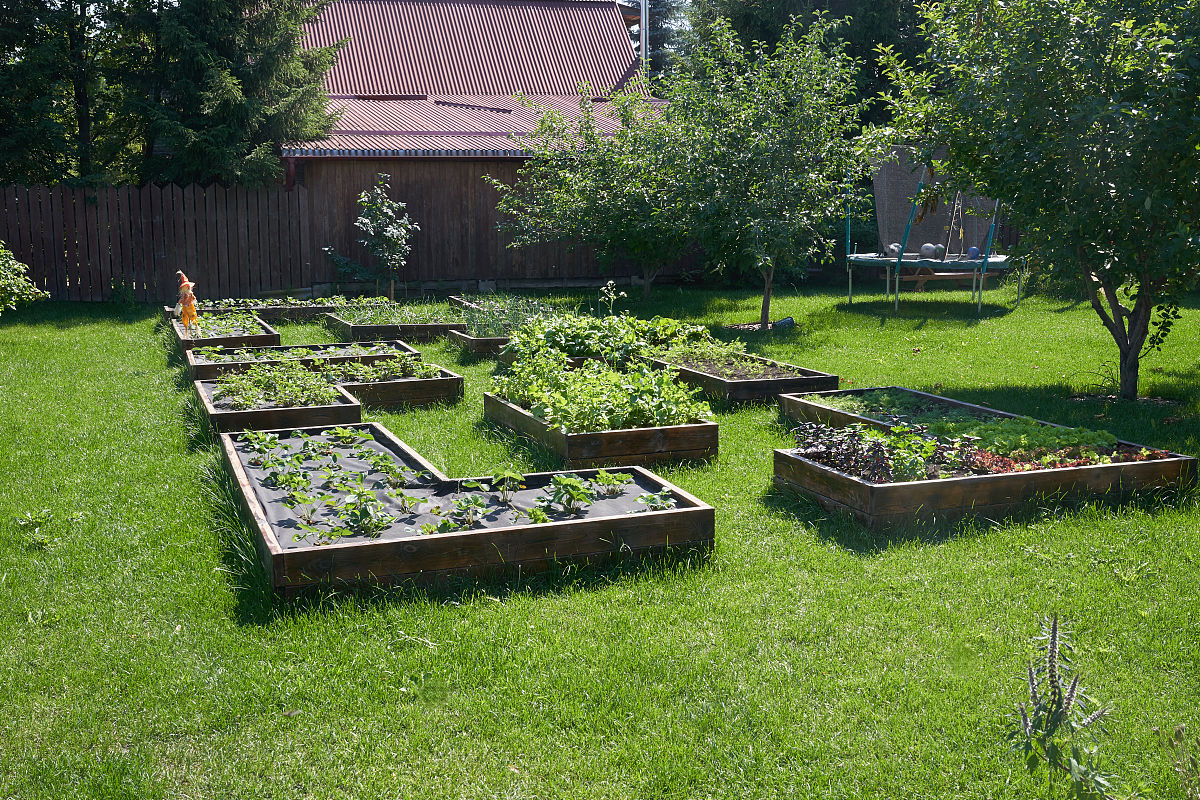 在屋顶修屋顶花园 2米的树需要铺多厚的土
