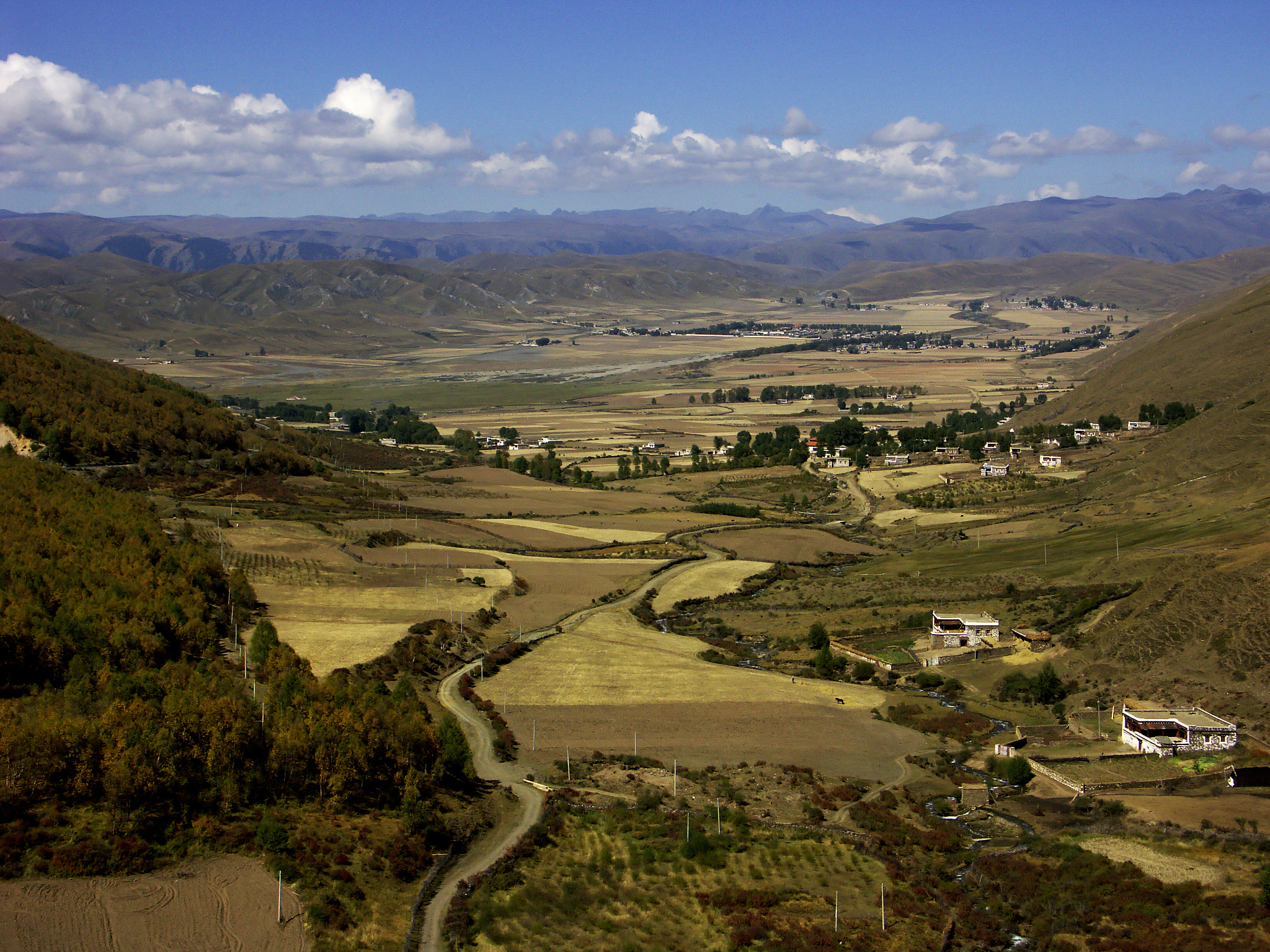 fields and mountains