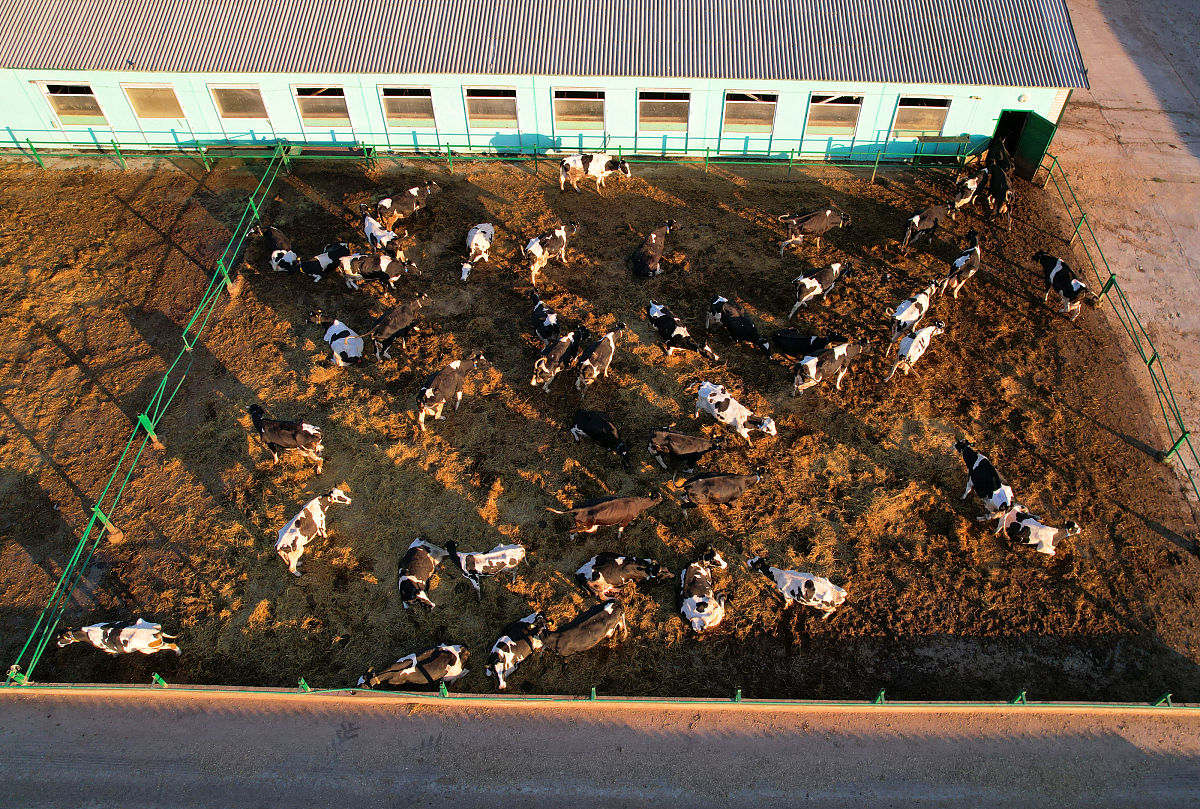 重庆航空农业机械化学校招生电话：023-64712345