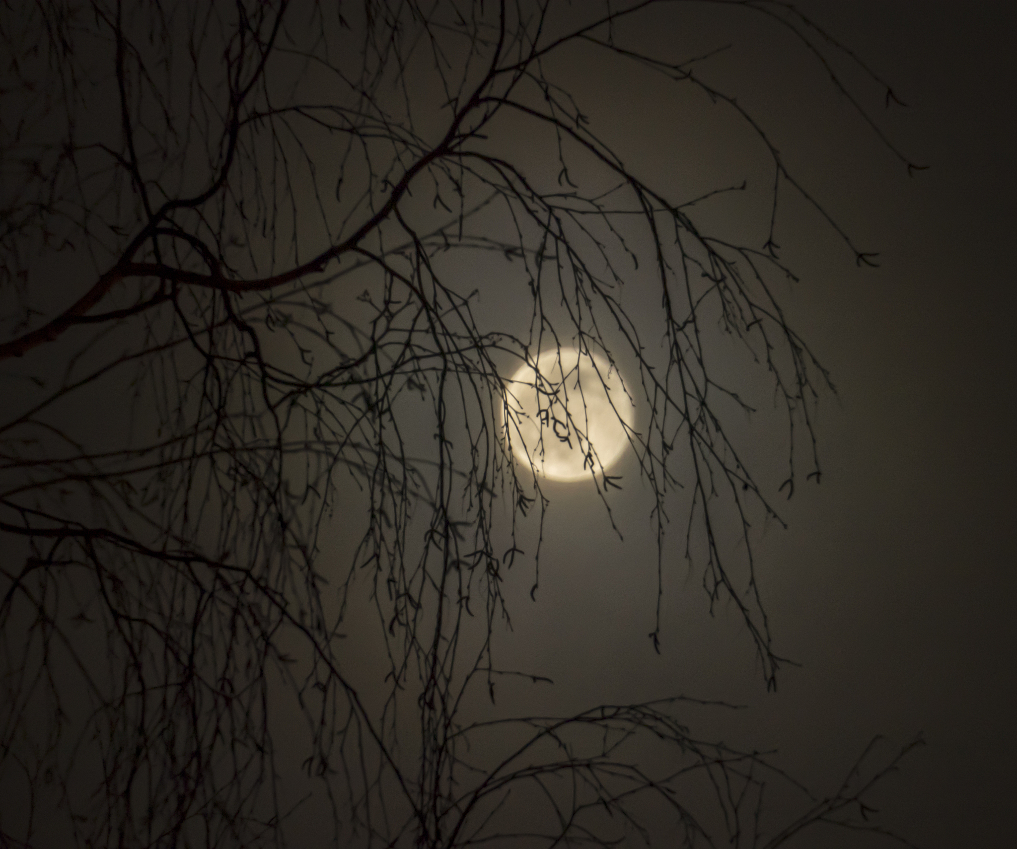 请评价以下作品并做必要的考证：床前明月光疑是地上霜。举头望明月低头思故乡。