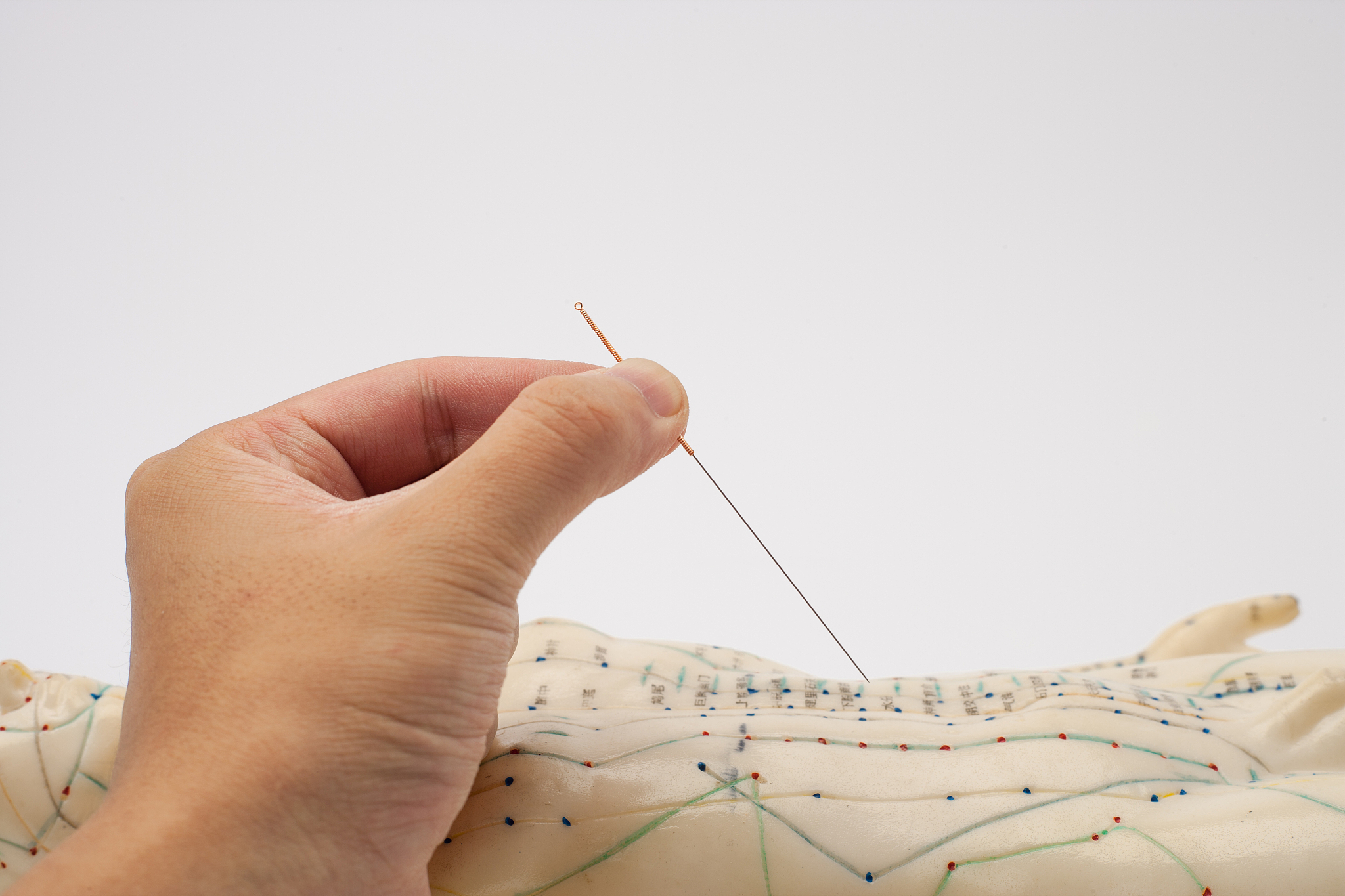 无锡卫校专业介绍：医学、护理、中医等领域全覆盖