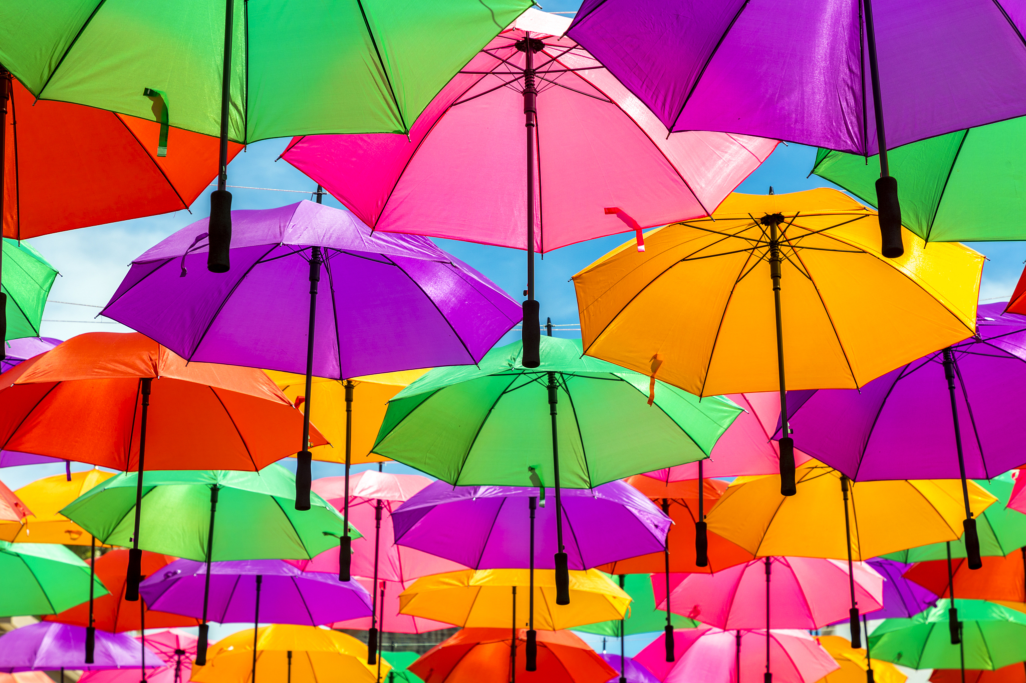 la paz umbrellas