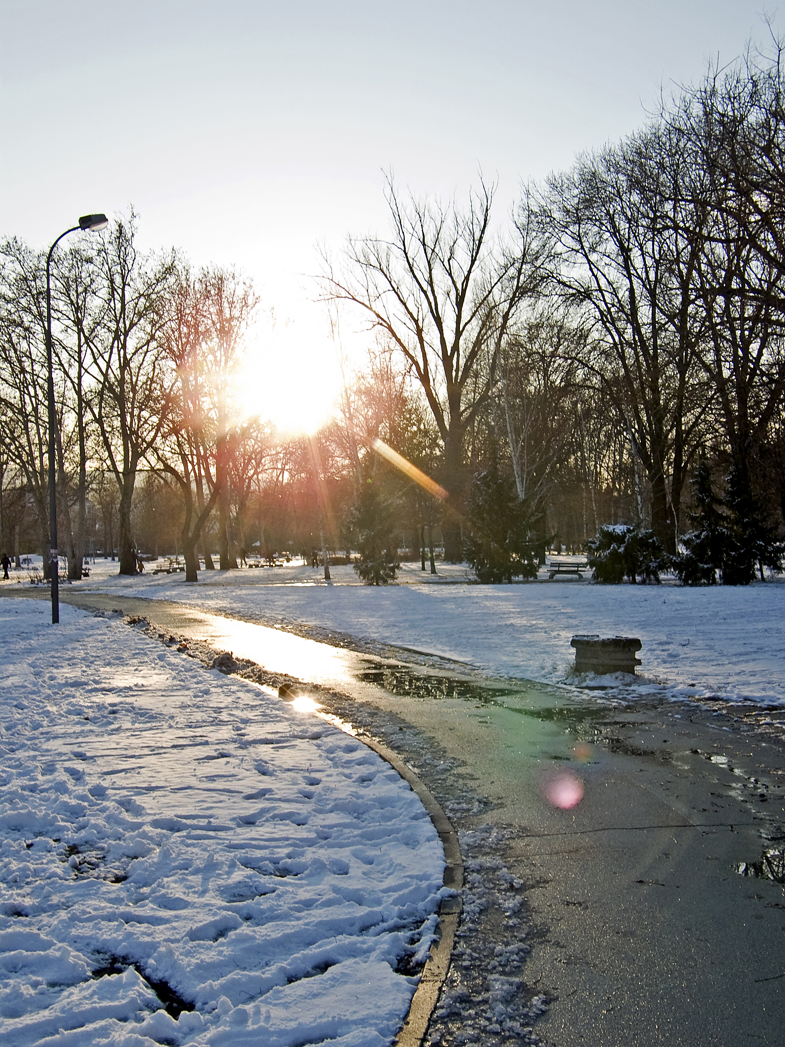 winter dusk with snow in a city park (picture no 05)