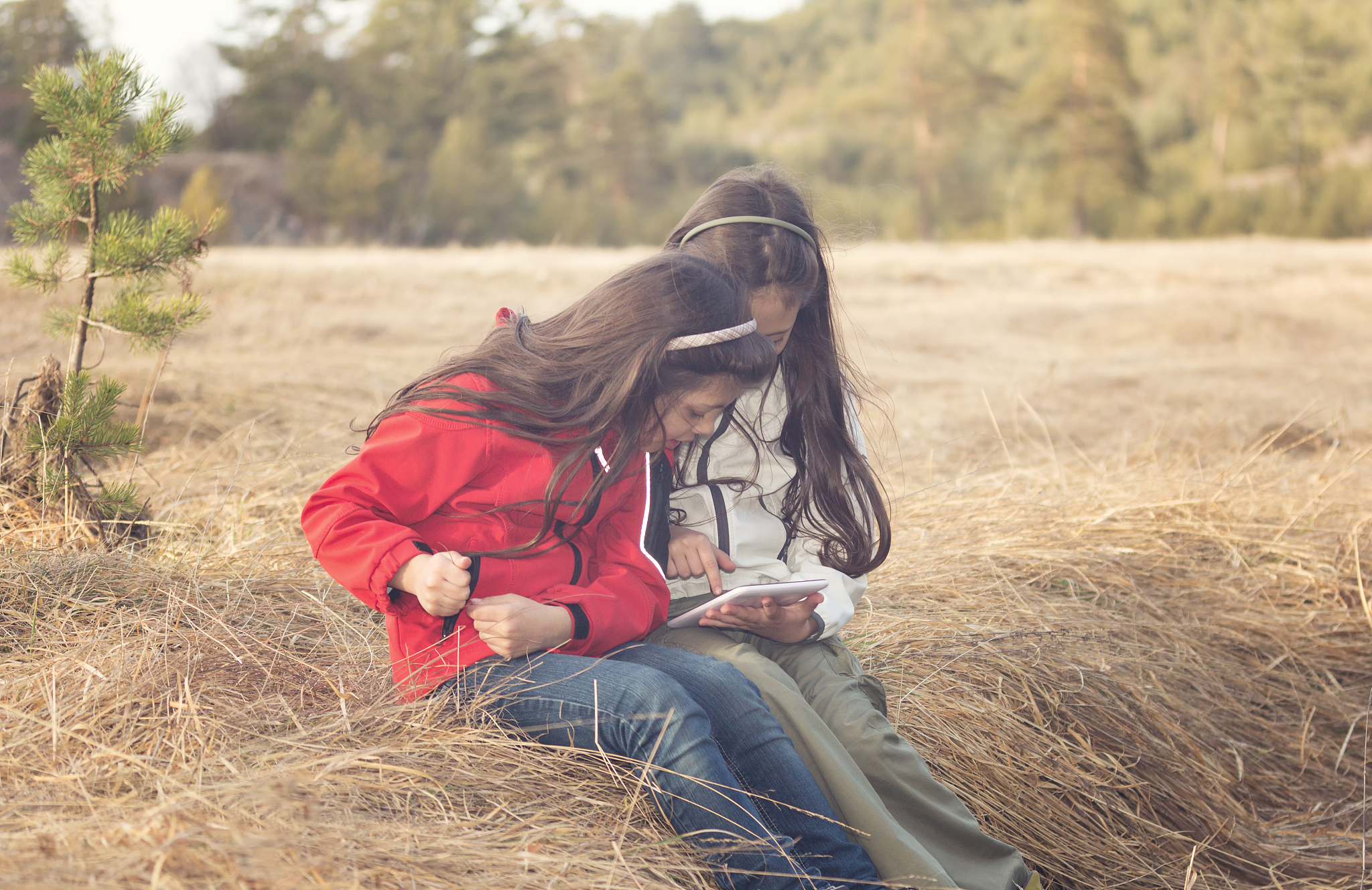 钓鱼的乐趣：放松身心，探索自然