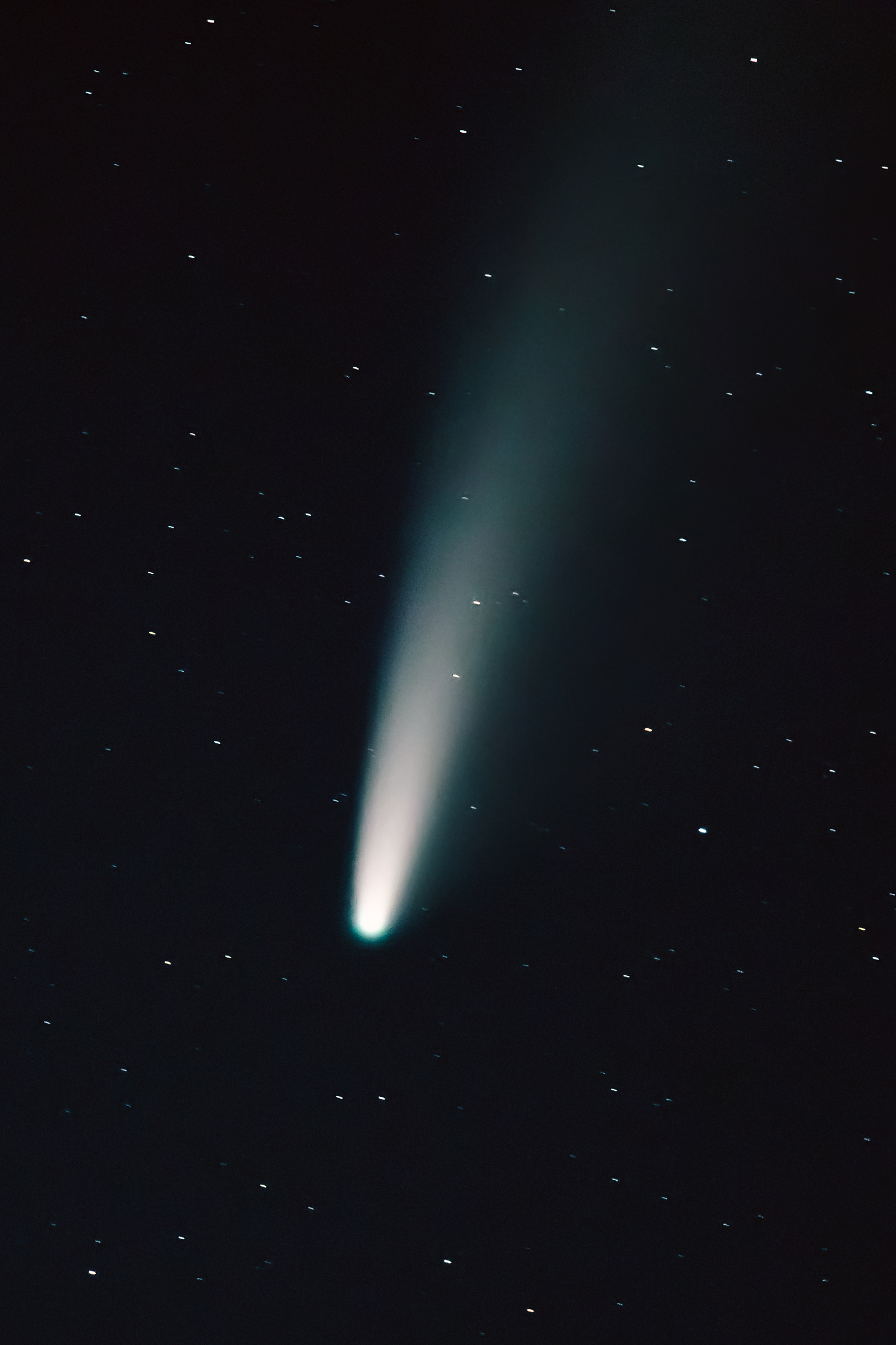 comet neowise c 2020 f3 shines bright in the dark night starry s