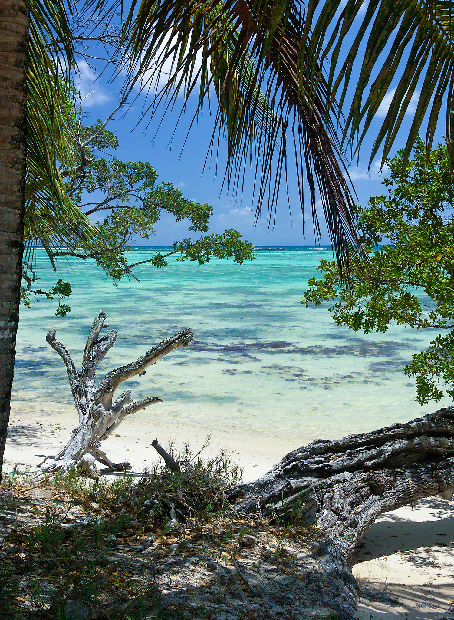 夏热冬暖地区气候特点分析