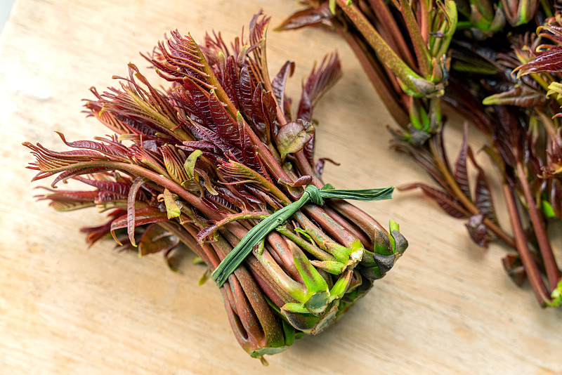 香椿芽怎么掰长的快