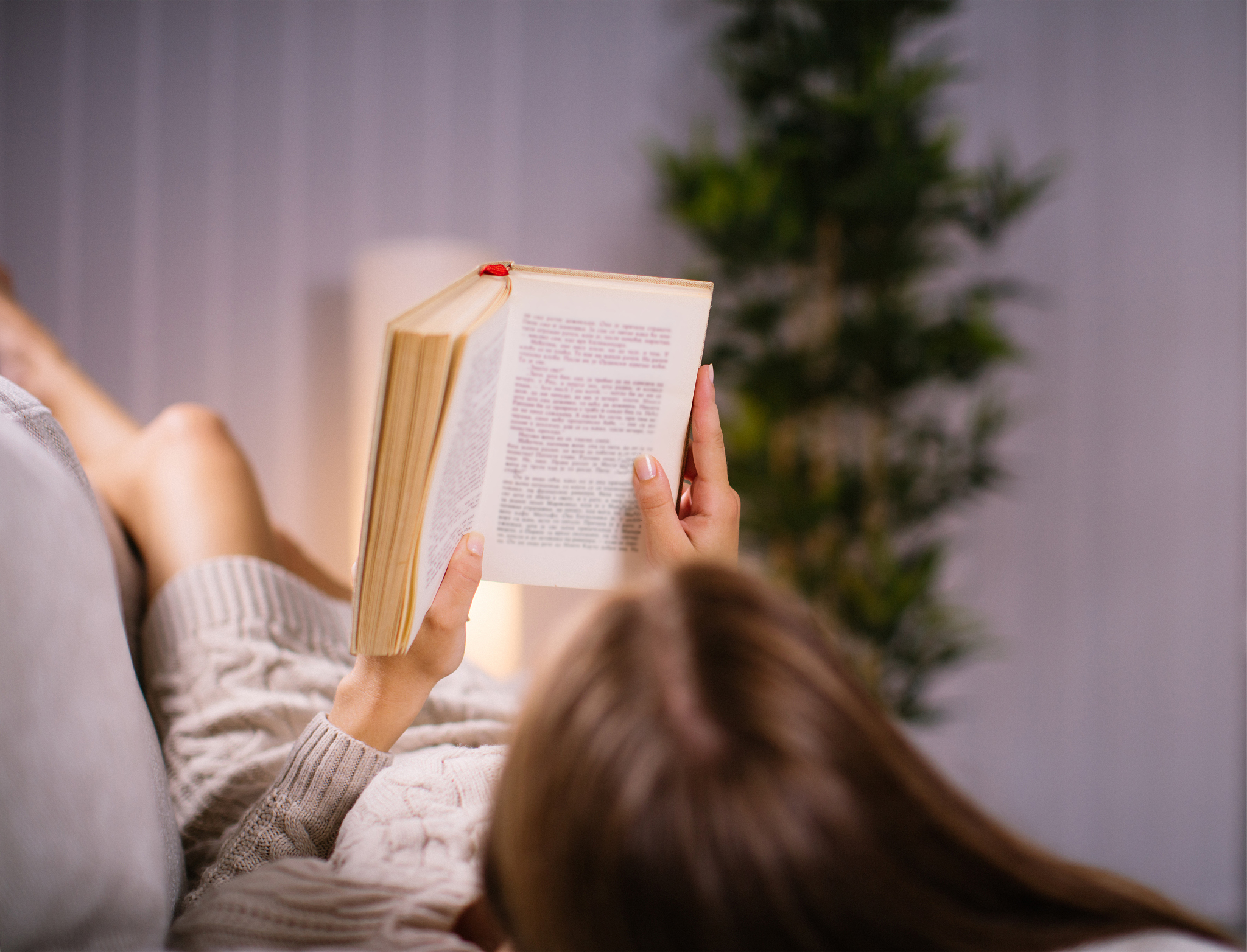 傍晚阅读和实时新闻：放松身心、增长见识