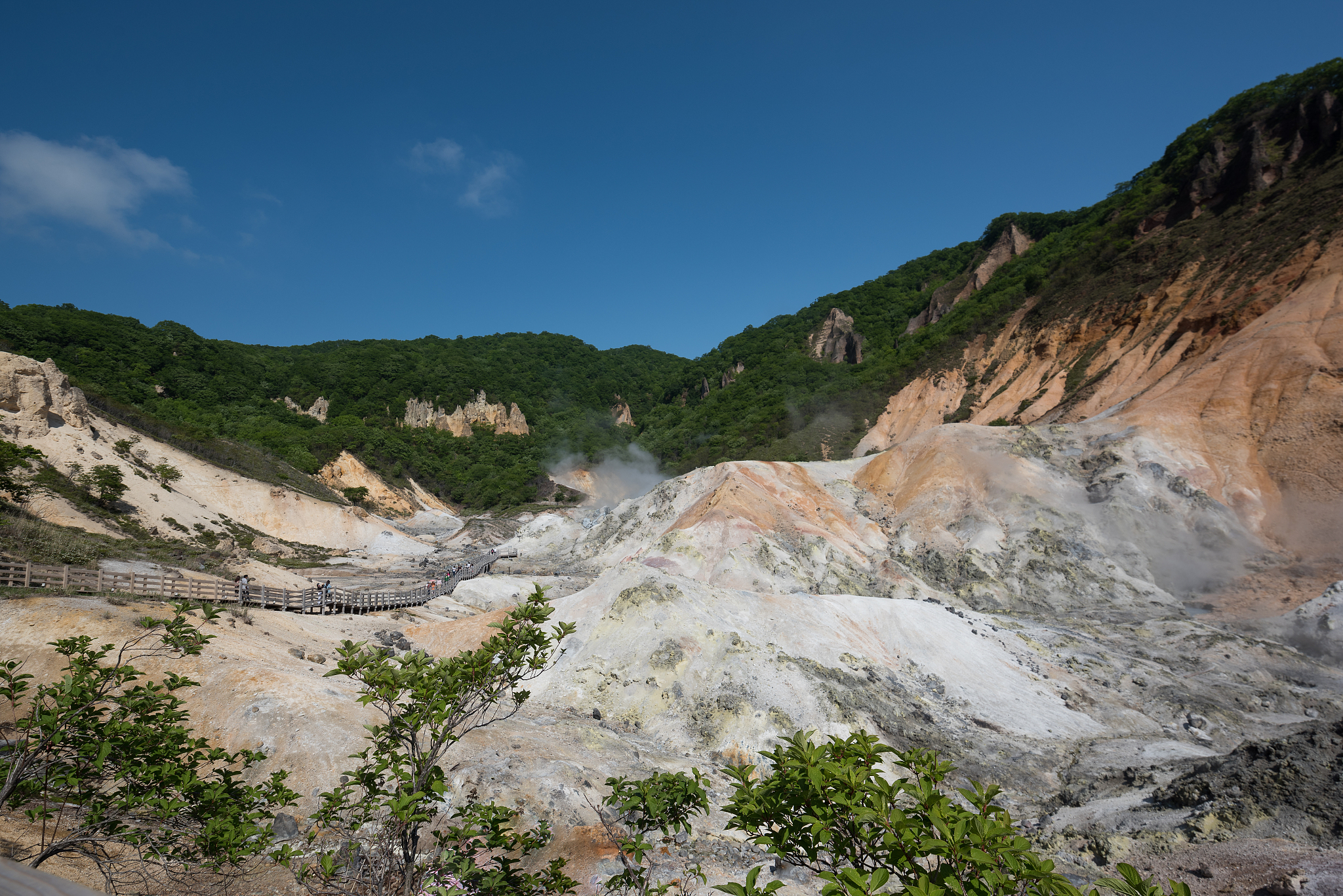中国高中生日语自我介绍：梦想在日本学习