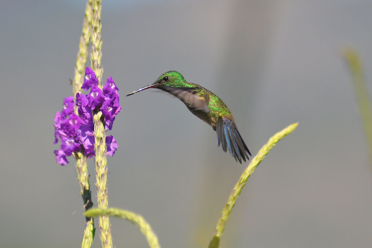 就业监测工作管理与质量保障制度