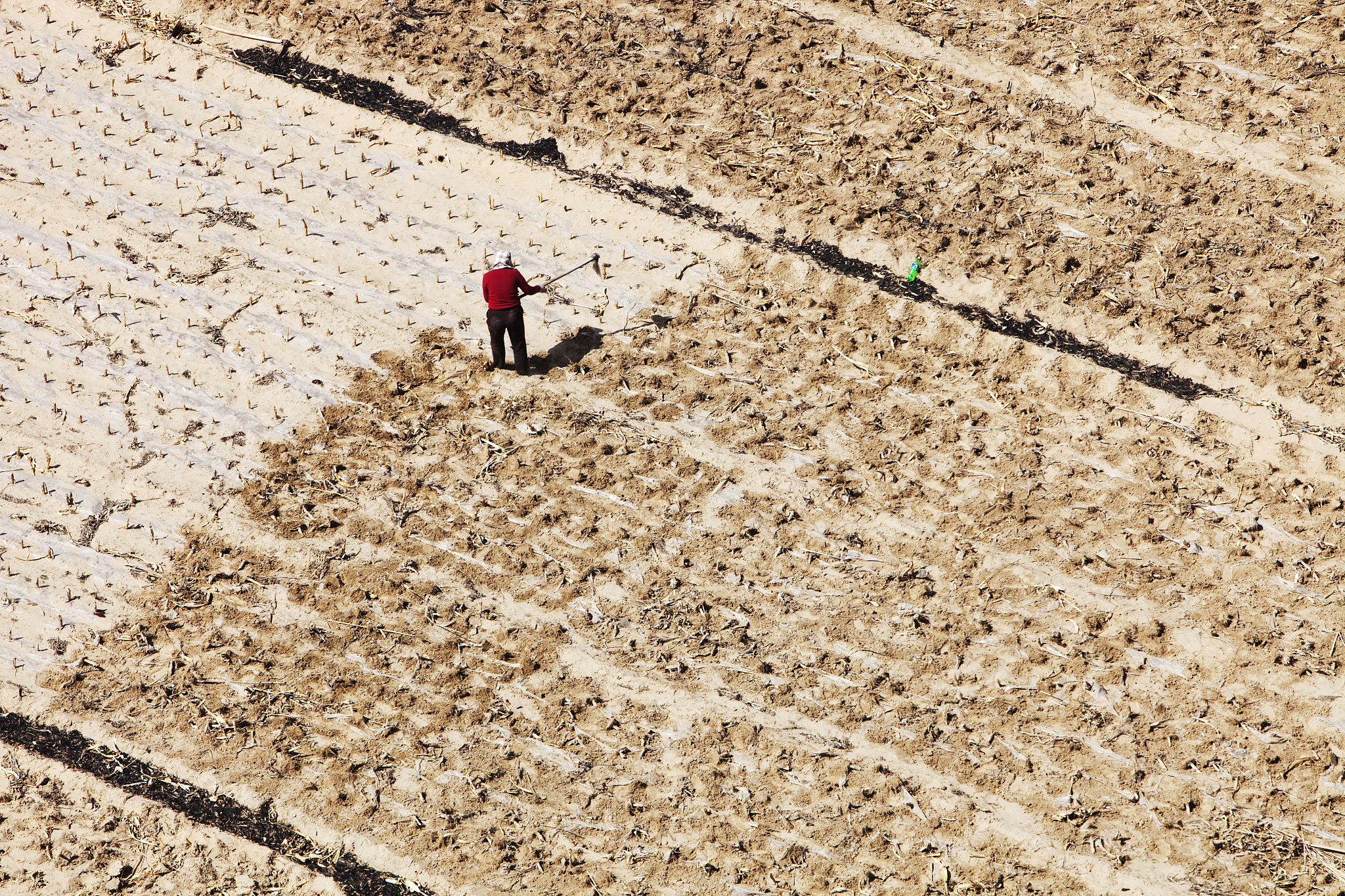 山西林业职业技术学院投资与理财专业都学些什么