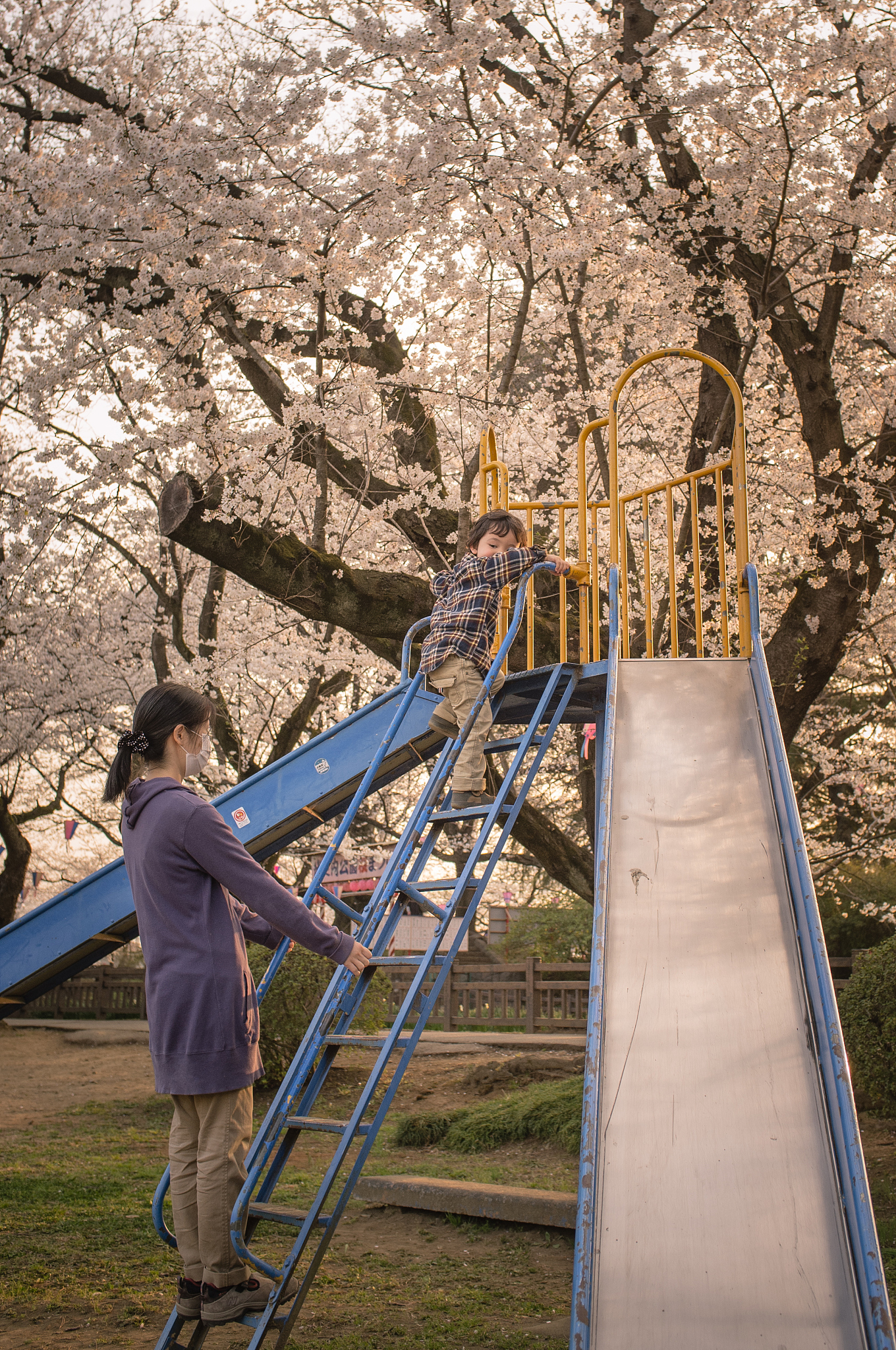 cherry blossom playtime
