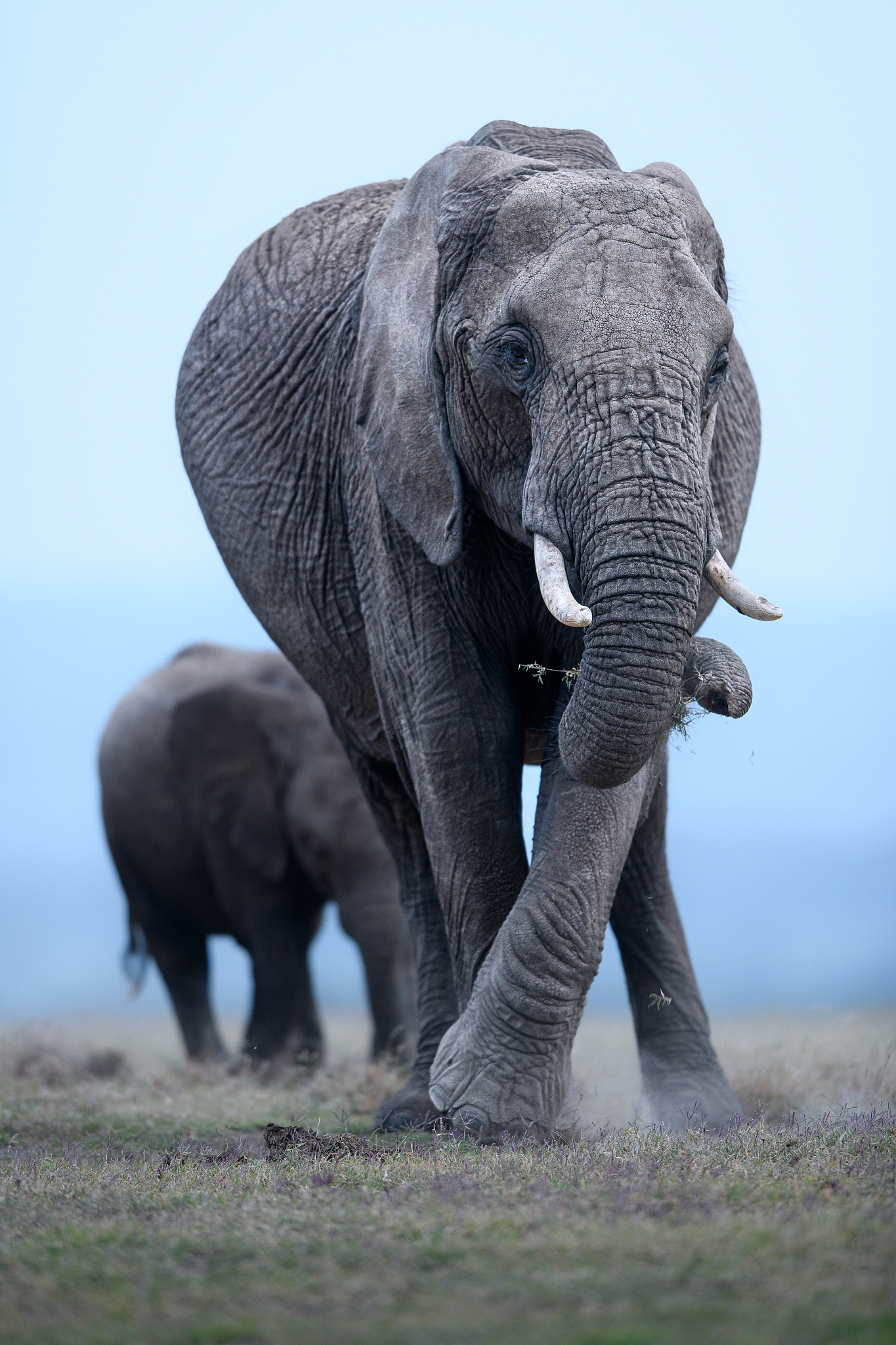 书法交流社区评论表字段解析
