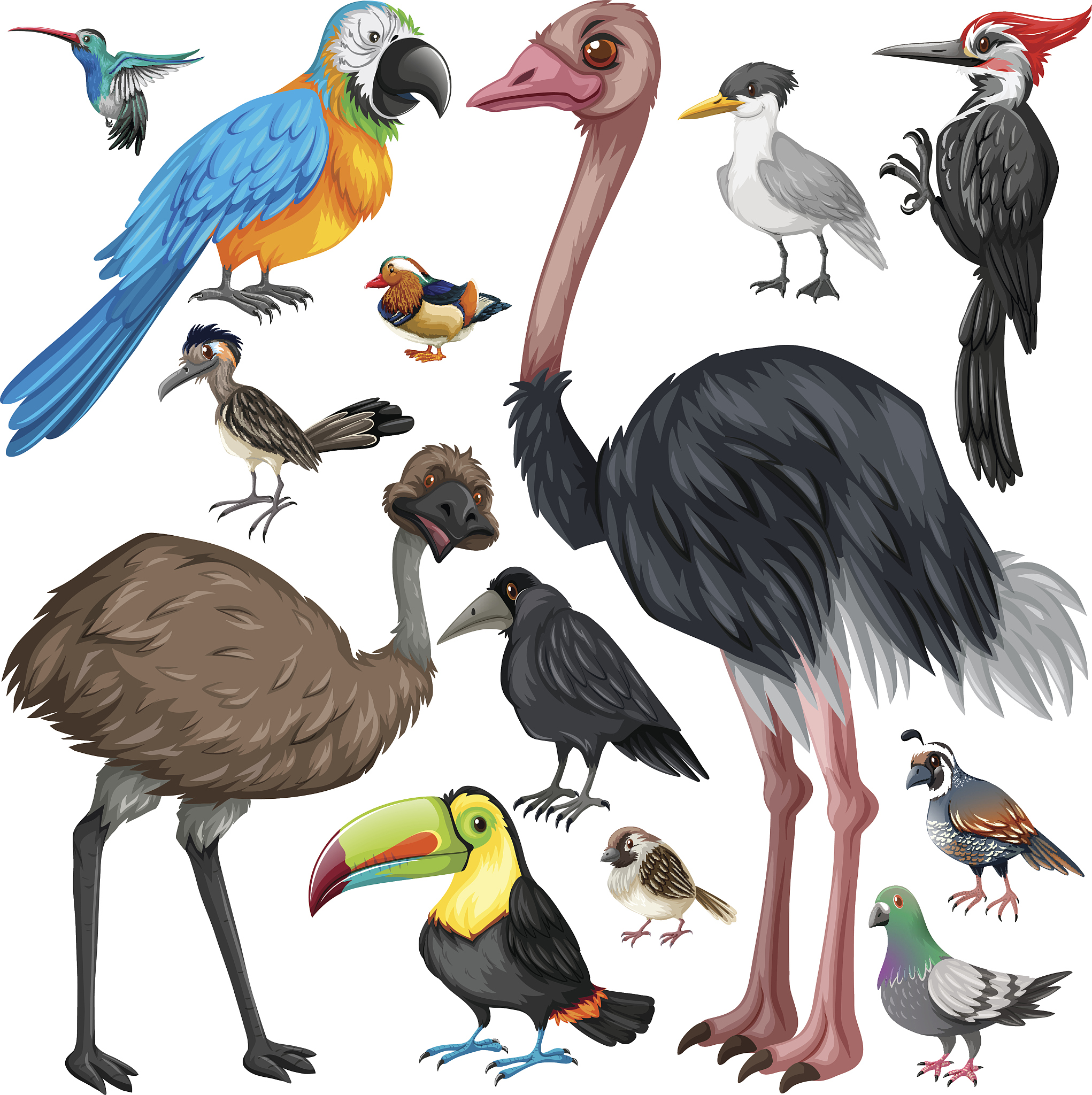 Who's the Biggest & Strongest Bird: Mighty Eagle vs. Crackhead Terrance, Longneck Billy, and Short Vew