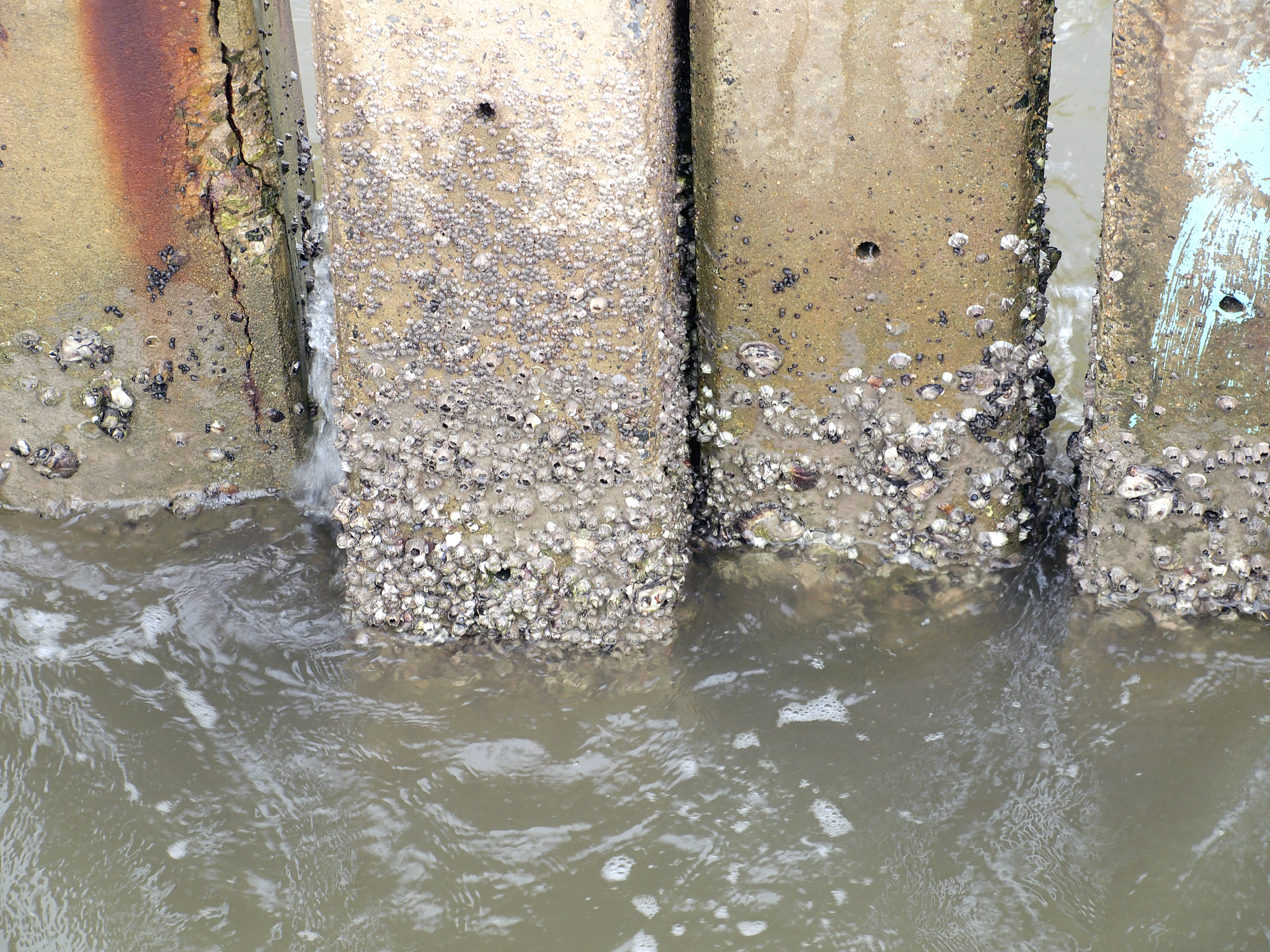 Rainwater Management and Oil Spill Prevention Measures During Heavy Rainfall Onboard Ships