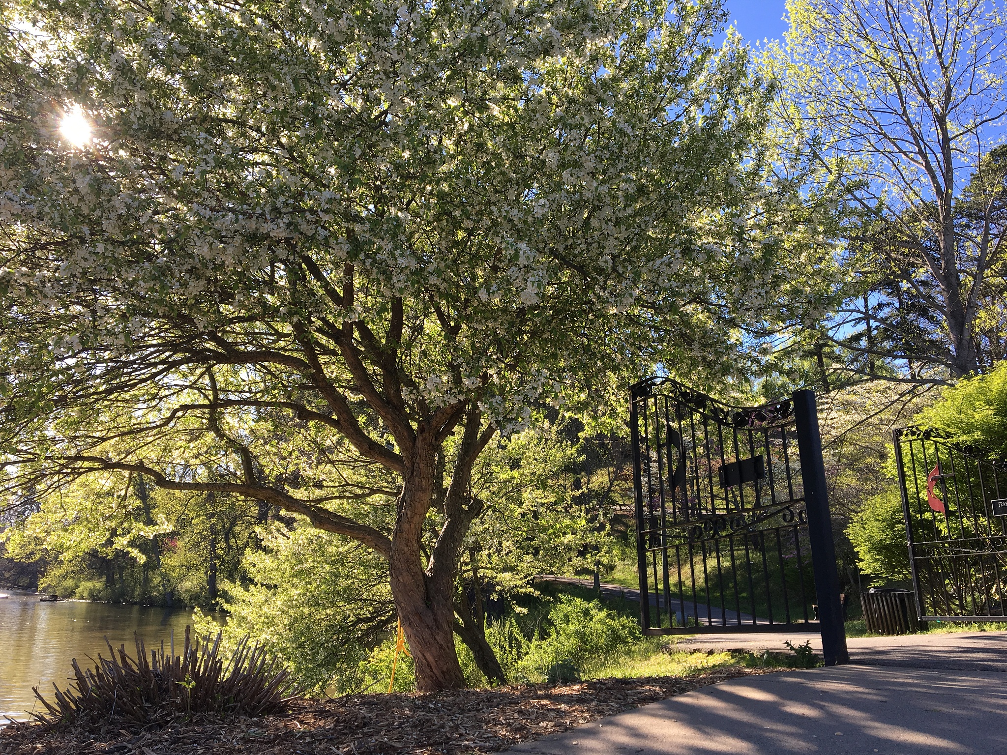 重庆园林技工学校招生专业及优势介绍 | 打造园林行业的未来精英