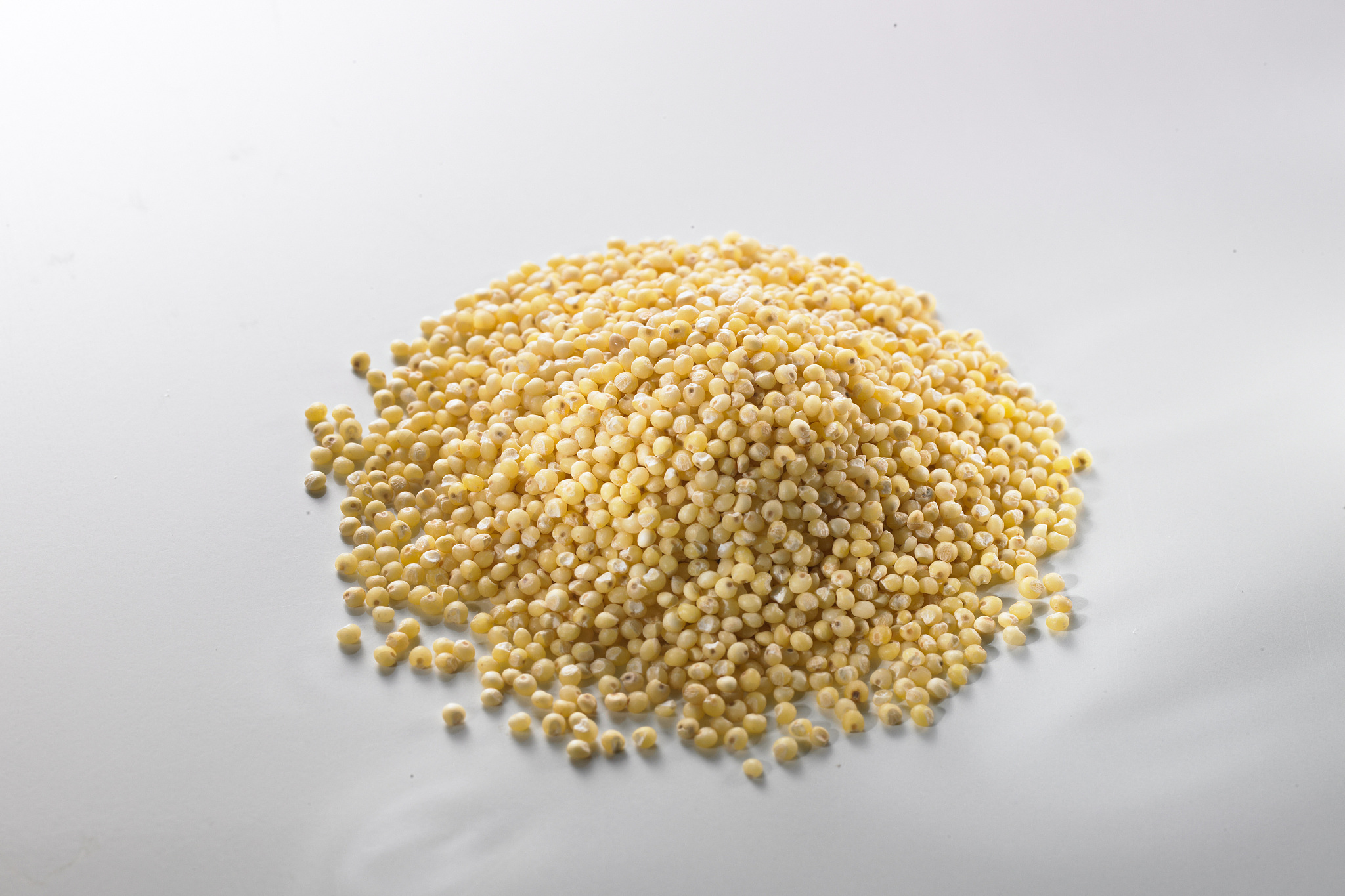 food material