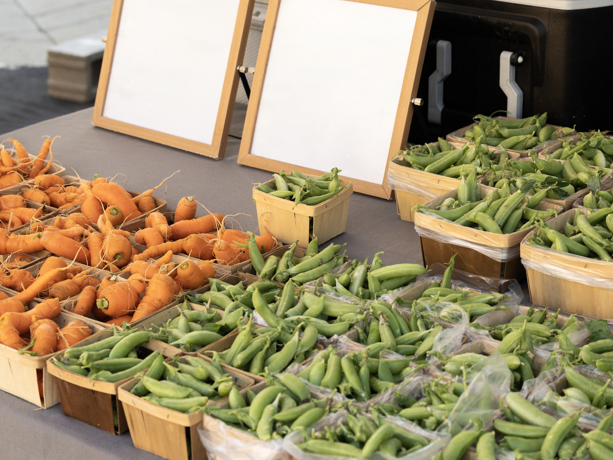 农产品储运与营销前景有哪些