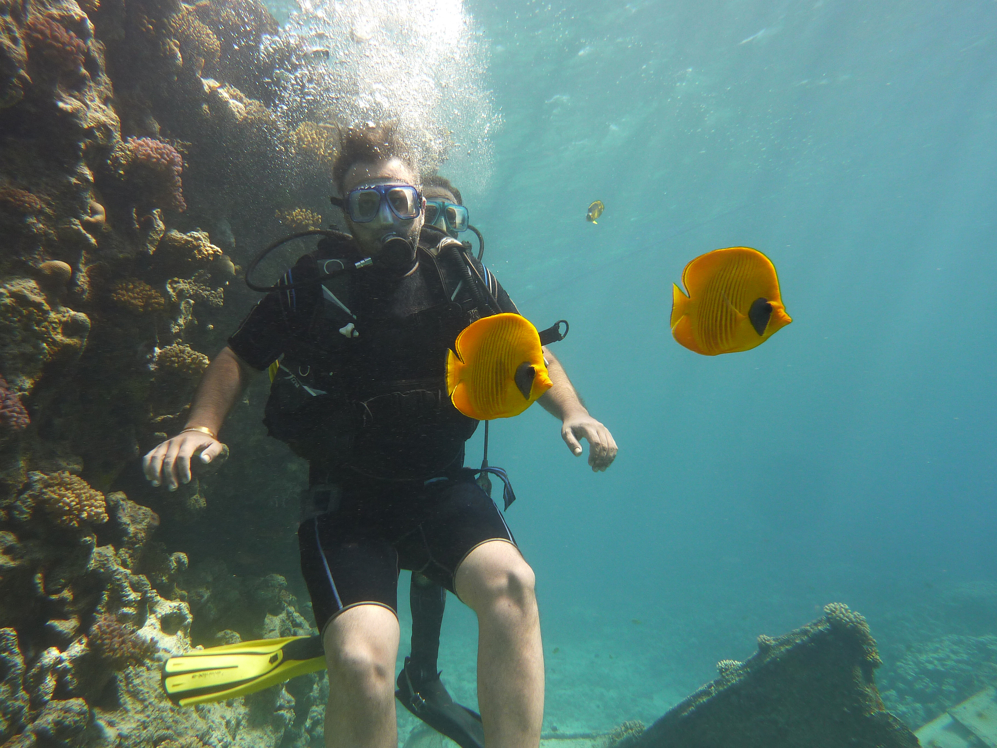 scuba diving exploring coral sea