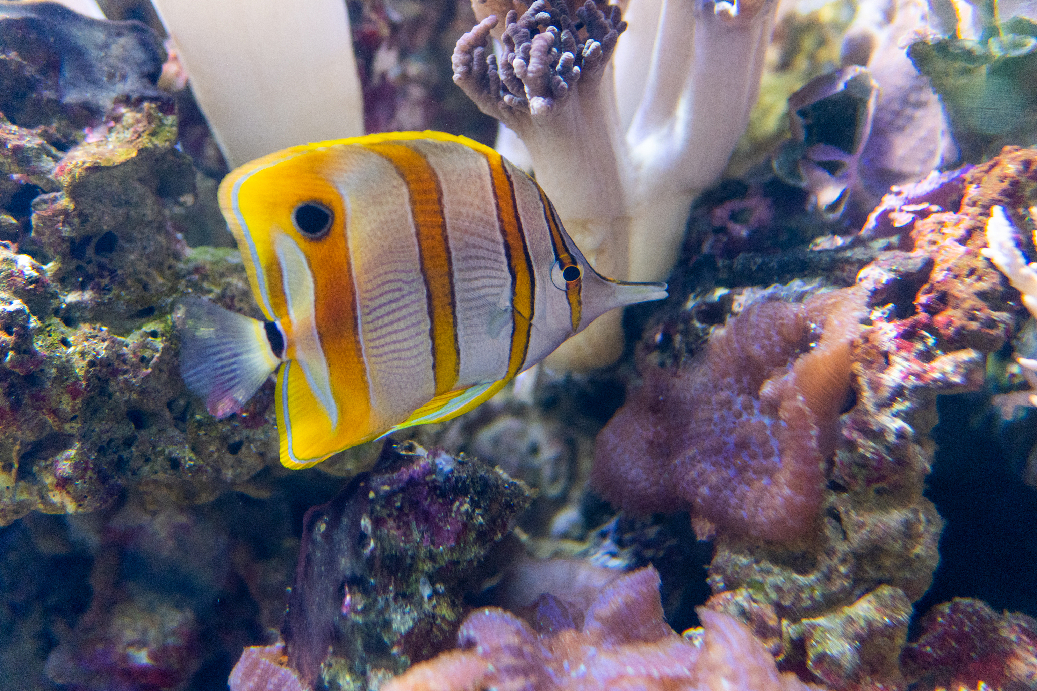 2022日照市海洋工程学校招生专业及相关信息