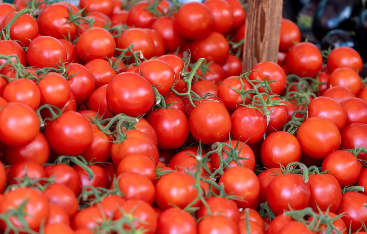 那为什么番茄吃起来有西红柿的味道