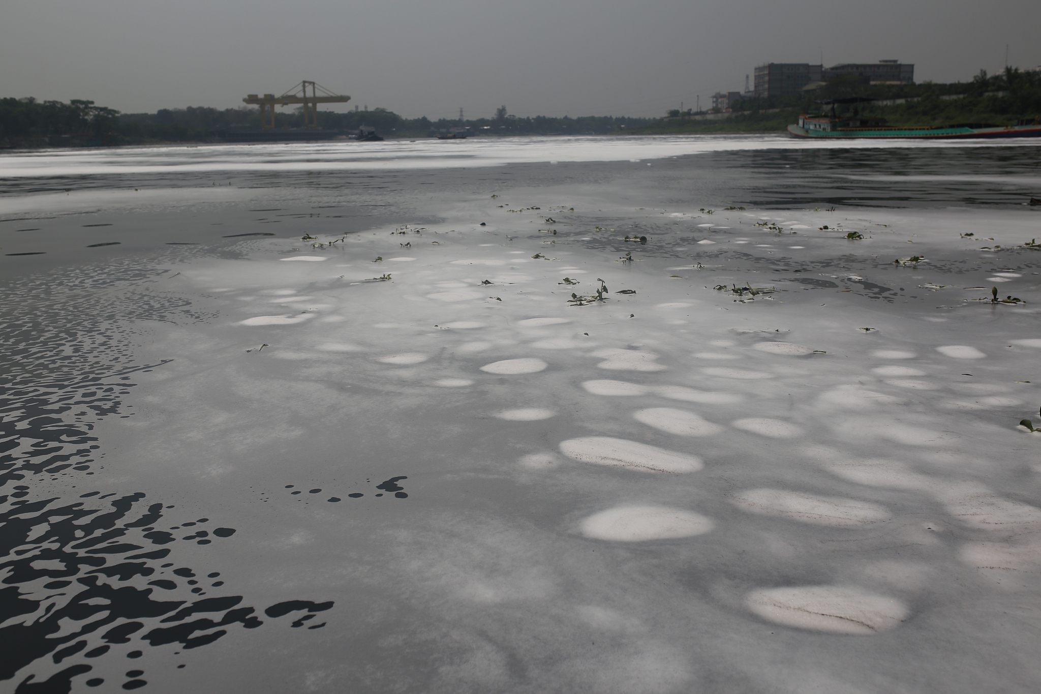 阐述河流管理制度