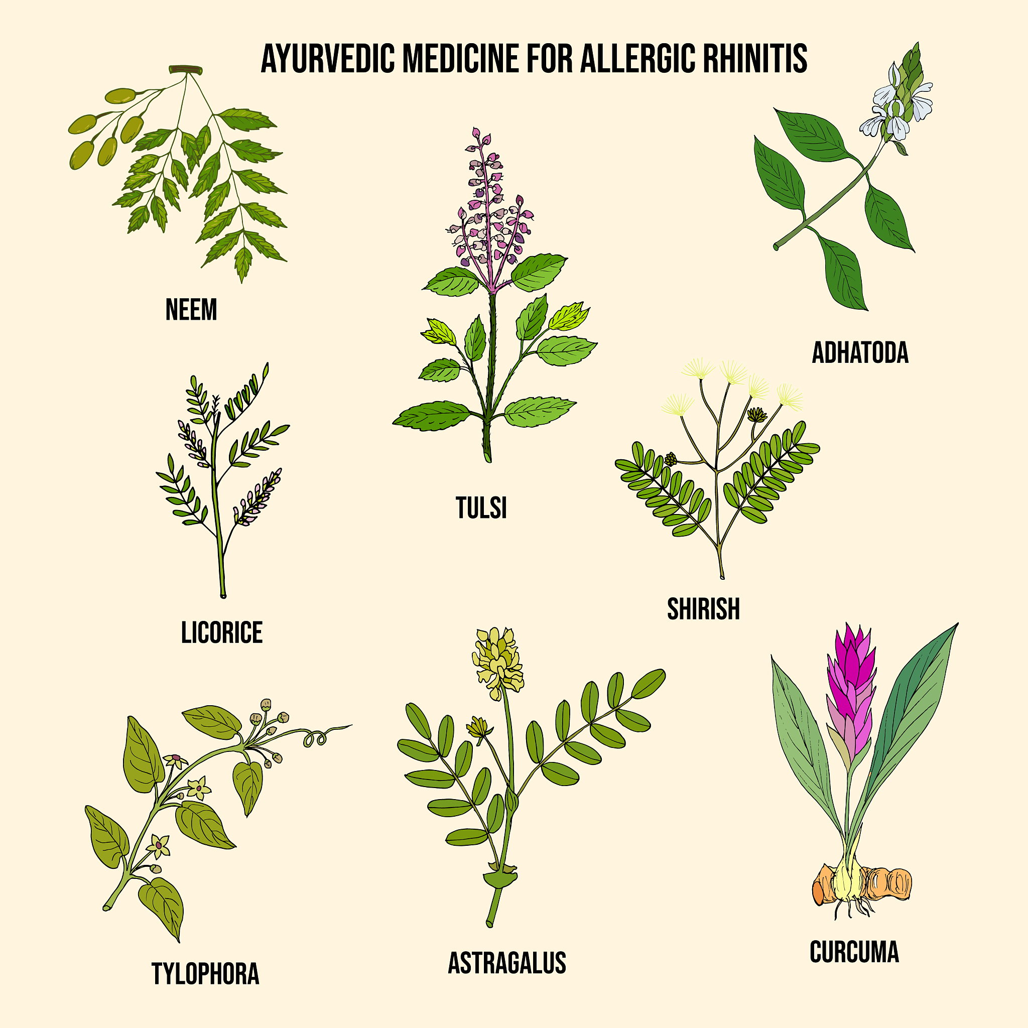 丹参叶片可溶性糖含量是多少