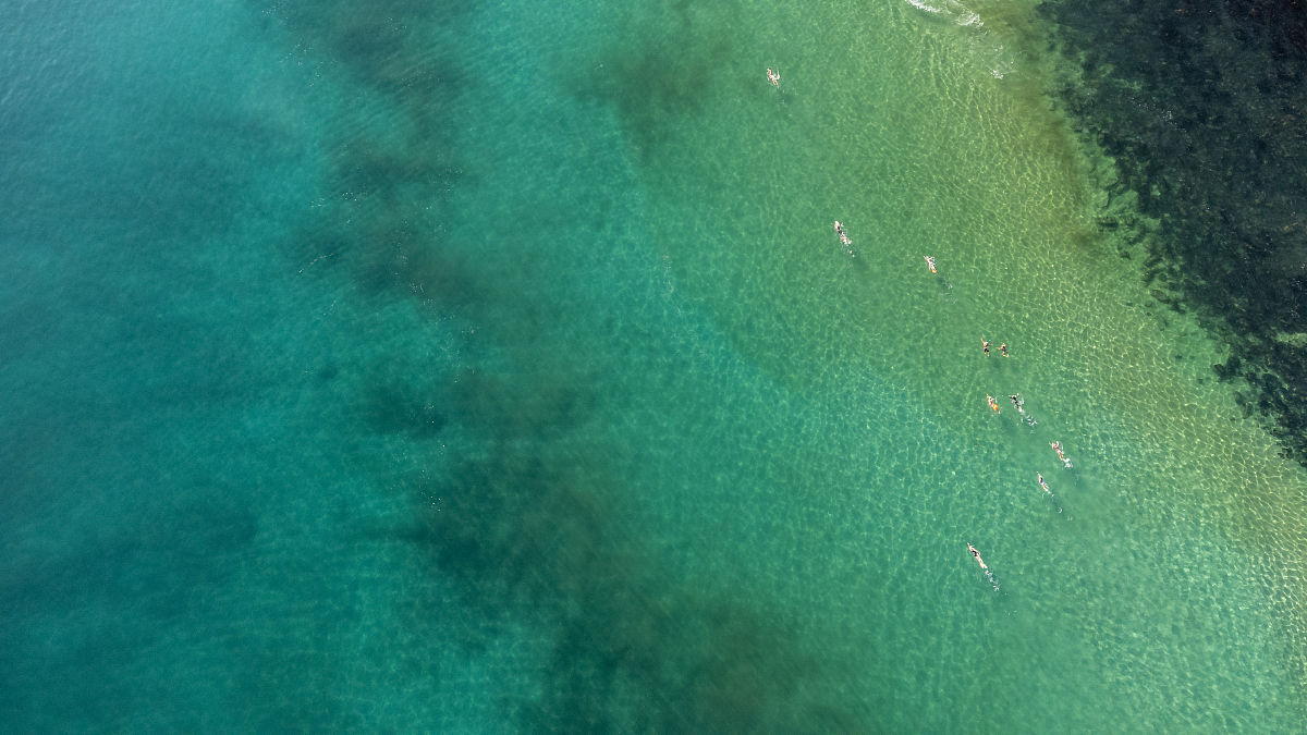 保山学院专业设置：涵盖文理工农管艺，特色专业及国际化教育并举