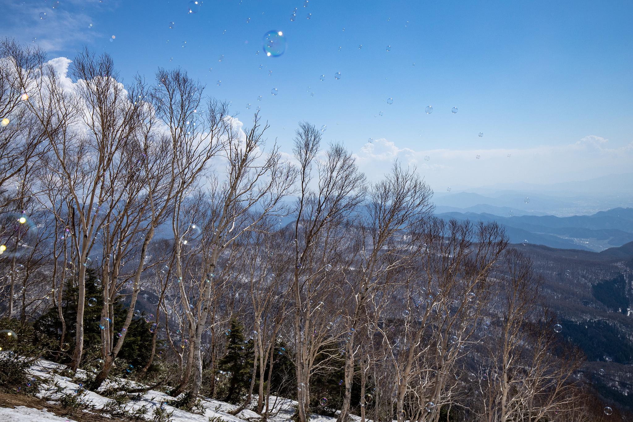 landscape of around  shiga-kougen, nagano, japan