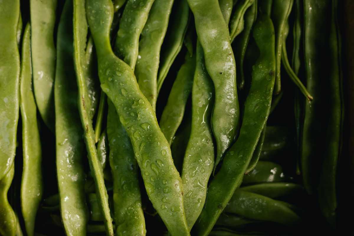 豆角冷藏保存时间：新鲜豆角、熟豆角、冷冻豆角保存方法 - 保持健康美味