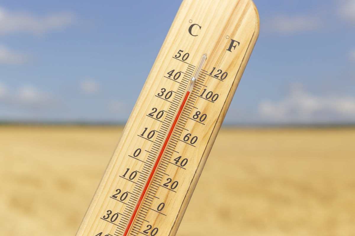 温度回升至14.5摄氏度左右