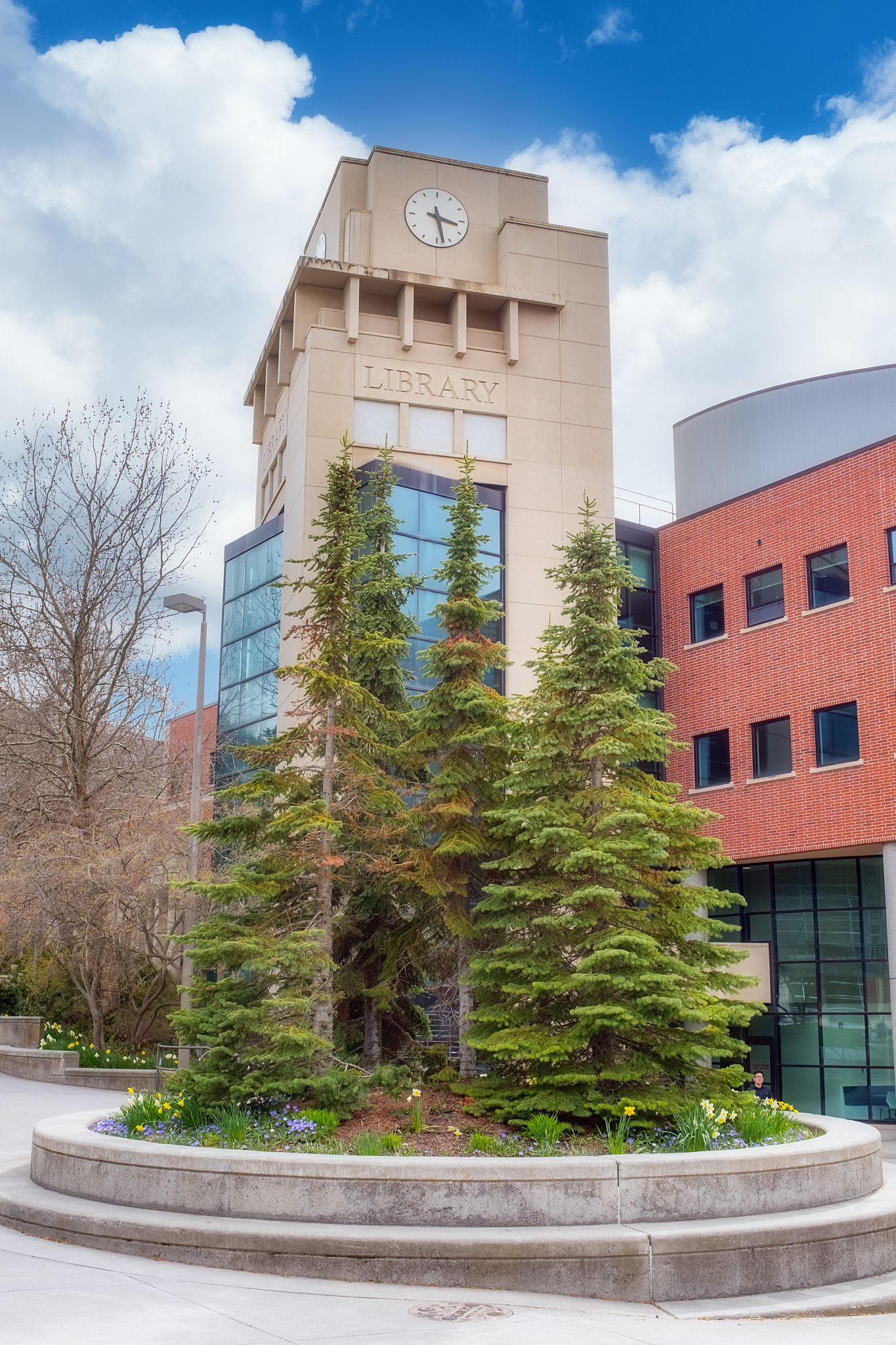 building labeled library with pine trees in a planter box