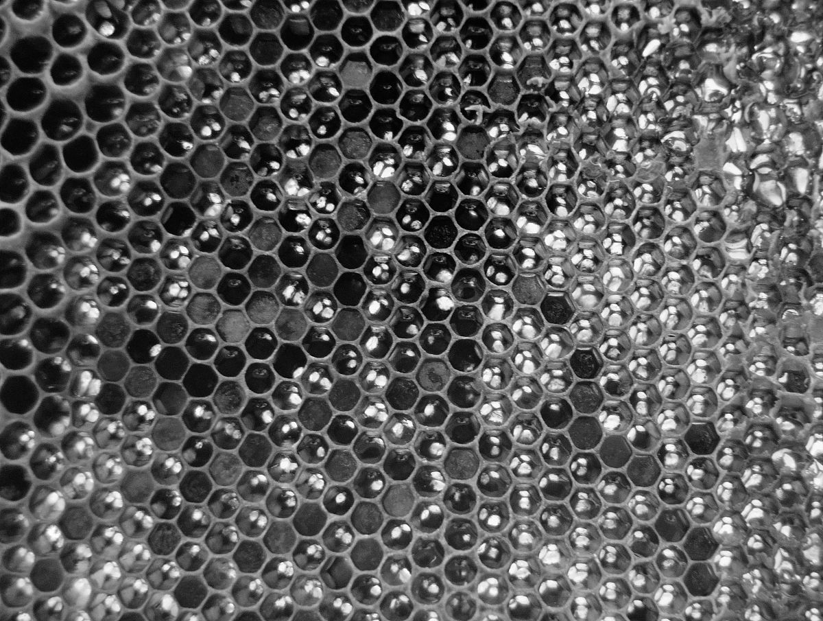 MoB的耐腐蚀磨损性能怎么样