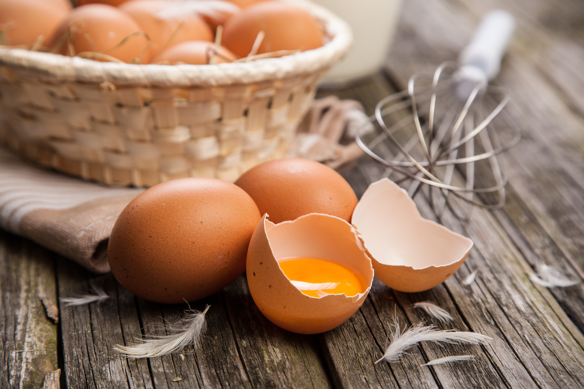 fresh organic eggs
