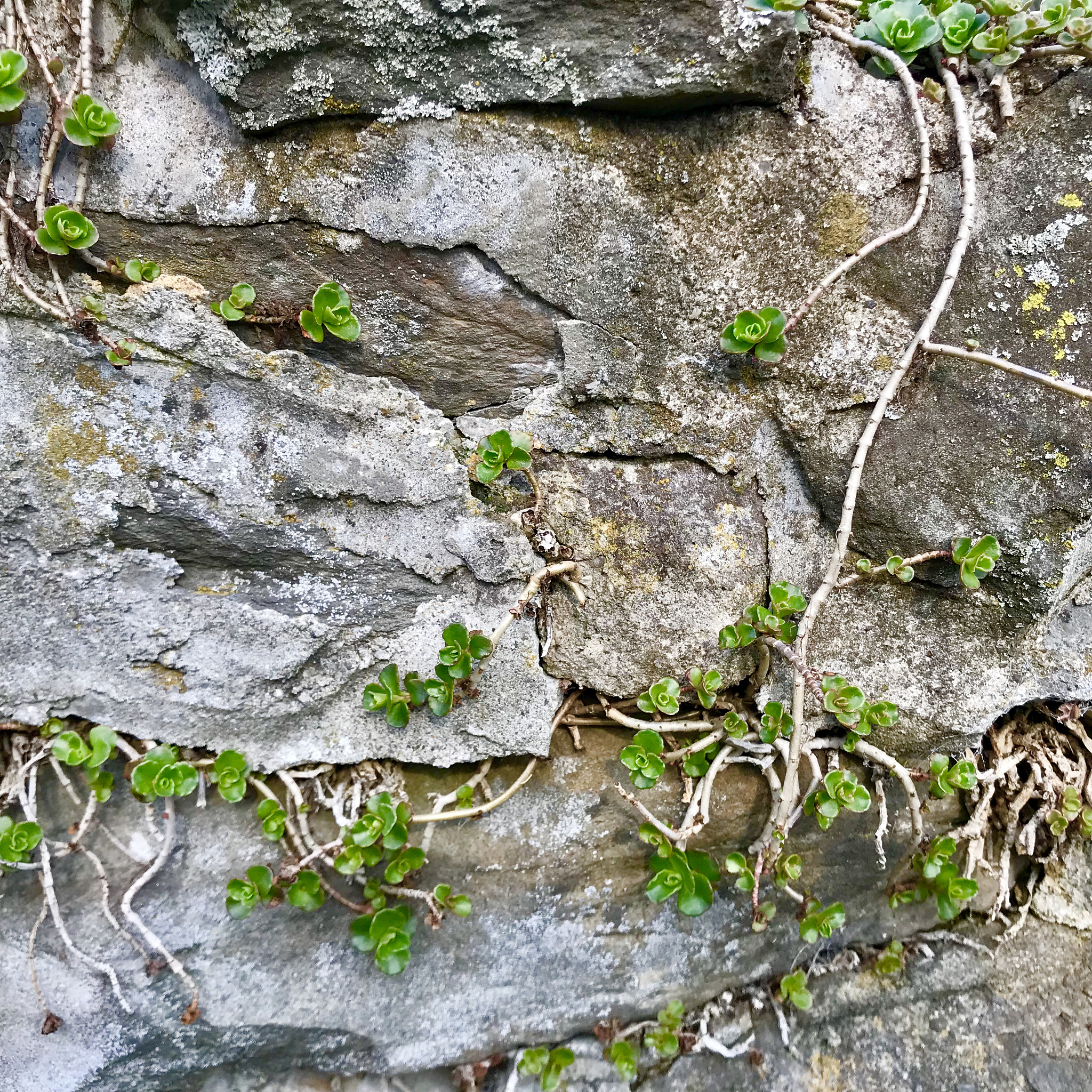 10首最具压迫感的歌曲：让你感受心灵的重量