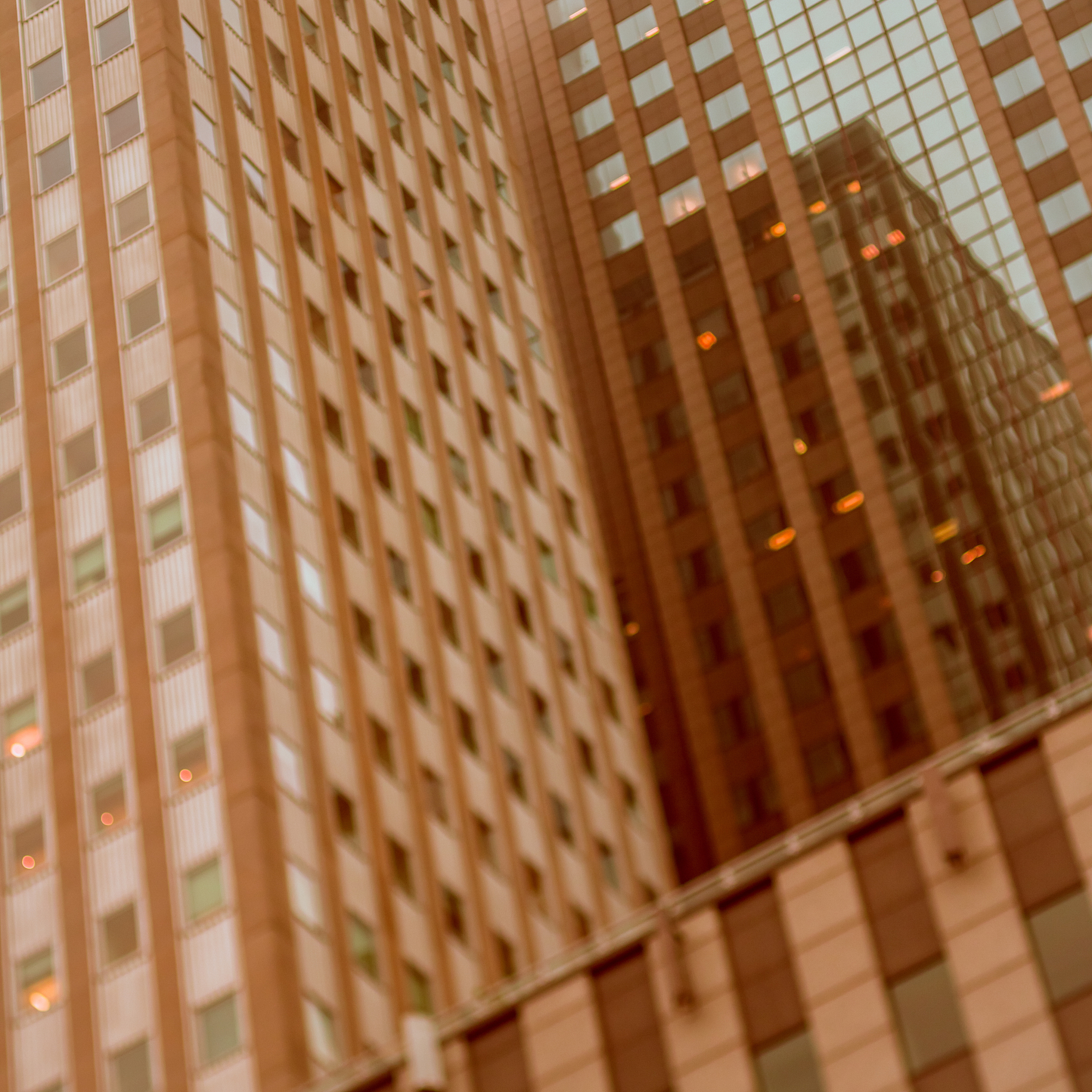 摄影技巧大揭秘：掌握光影，拍出绝美画面