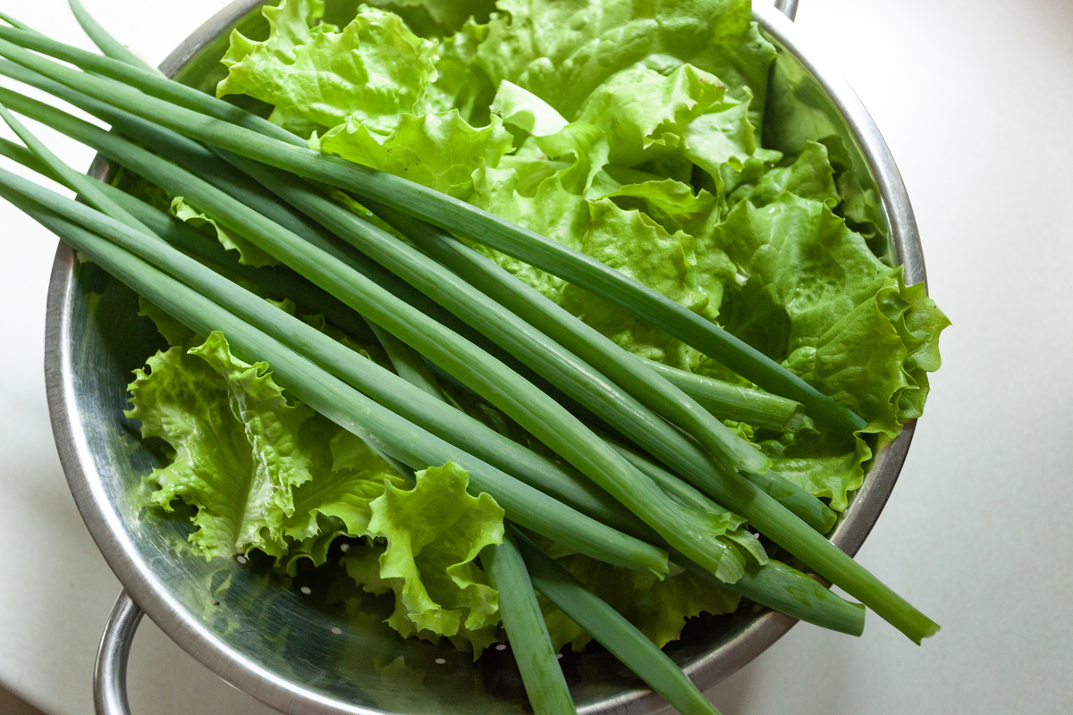 促排饮食必备？韭菜的功效和最佳食用方法