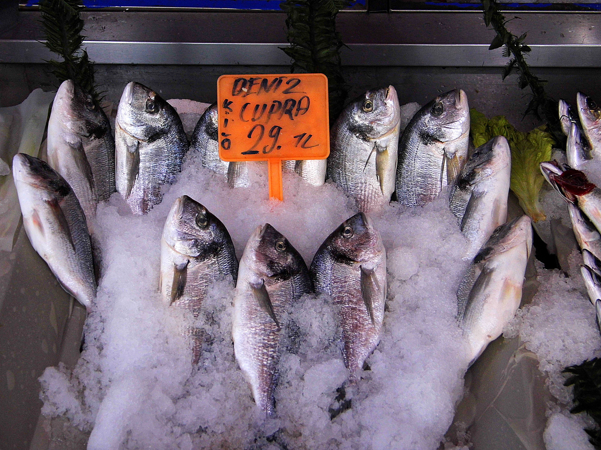 美国人最爱吃的鱼类：鲑鱼、鳕鱼、鲈鱼、龙虾等